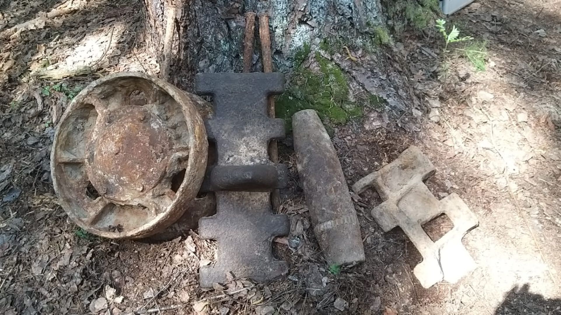 Поисковики, Одинцово, Бушарино, ВОВ