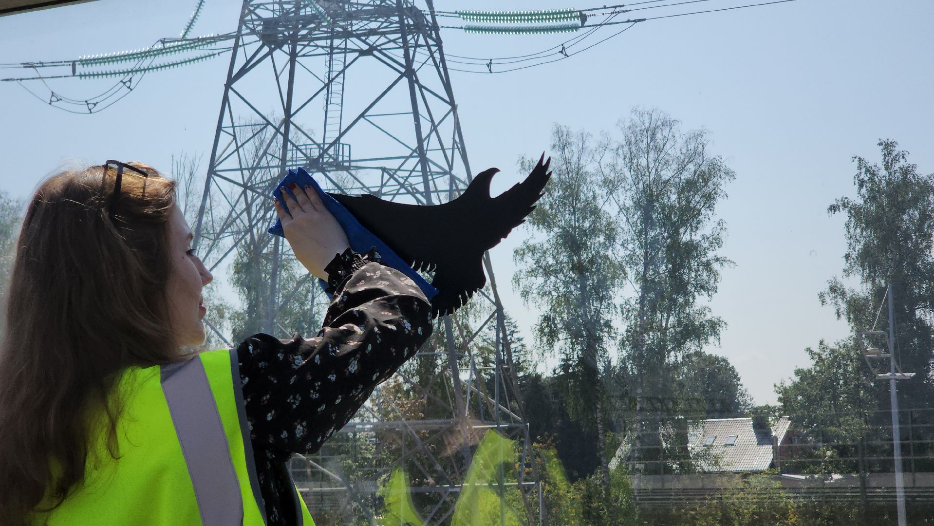 Мытищи, мытищинская хорда, птицы, Экология,