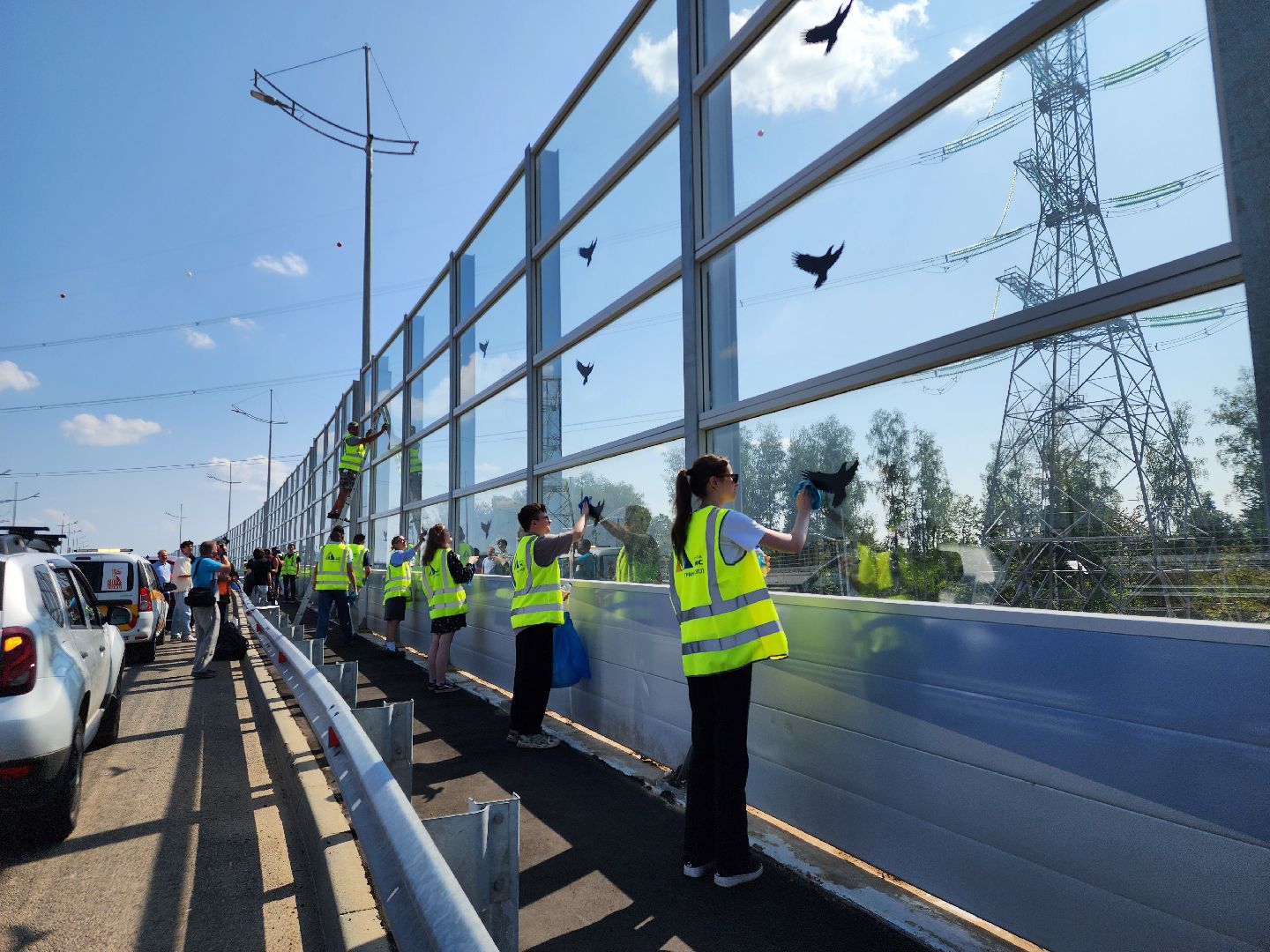 Мытищи, мытищинская хорда, птицы, Экология,