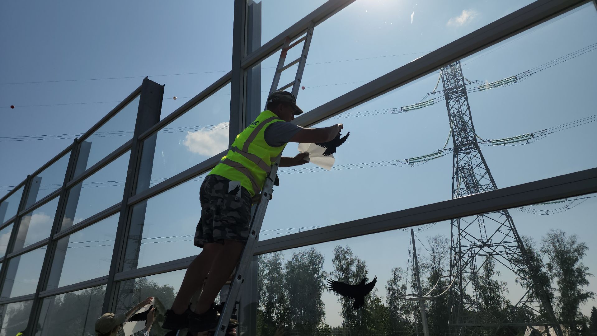 Мытищи, мытищинская хорда, птицы, Экология,