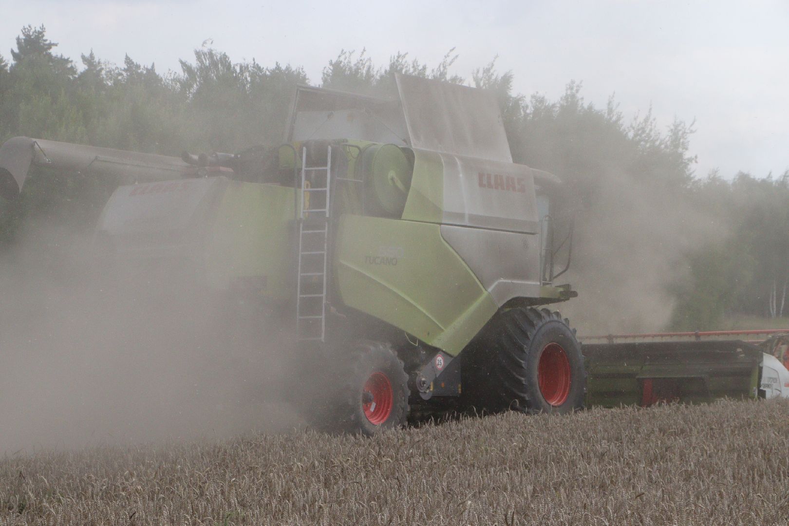 зарайск, сельское хозяйство, уборочная кампания,