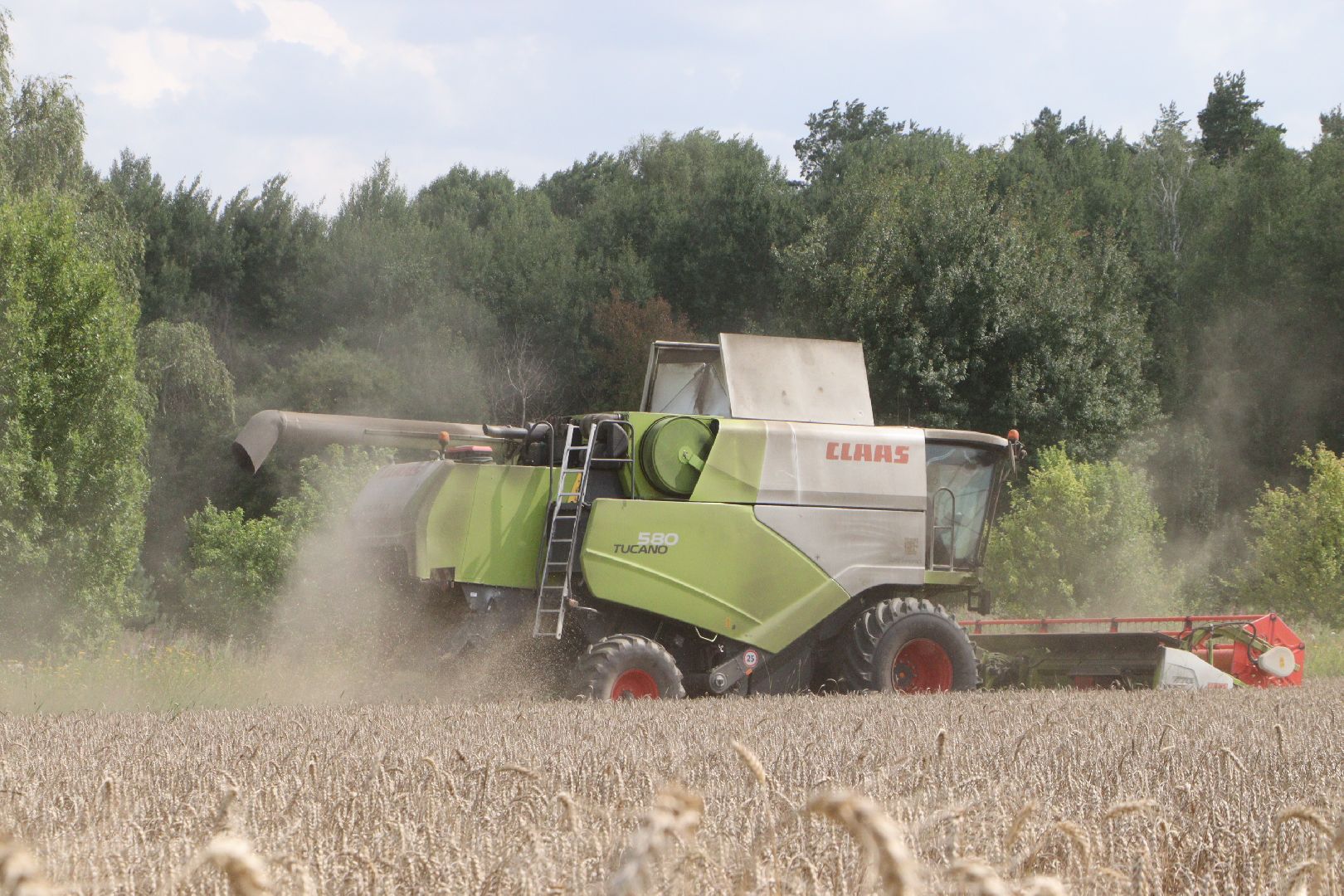 зарайск, сельское хозяйство, уборочная кампания,