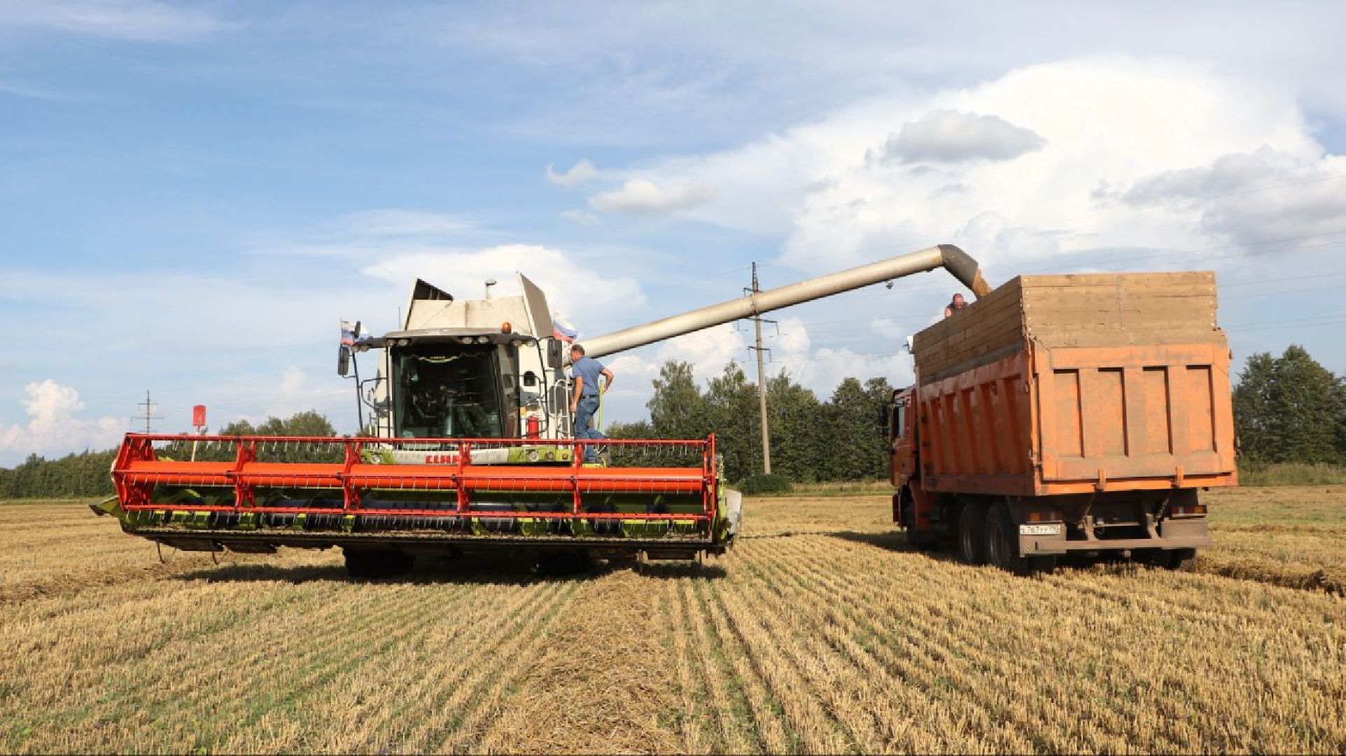 зарайск, сельское хозяйство, уборочная кампания,