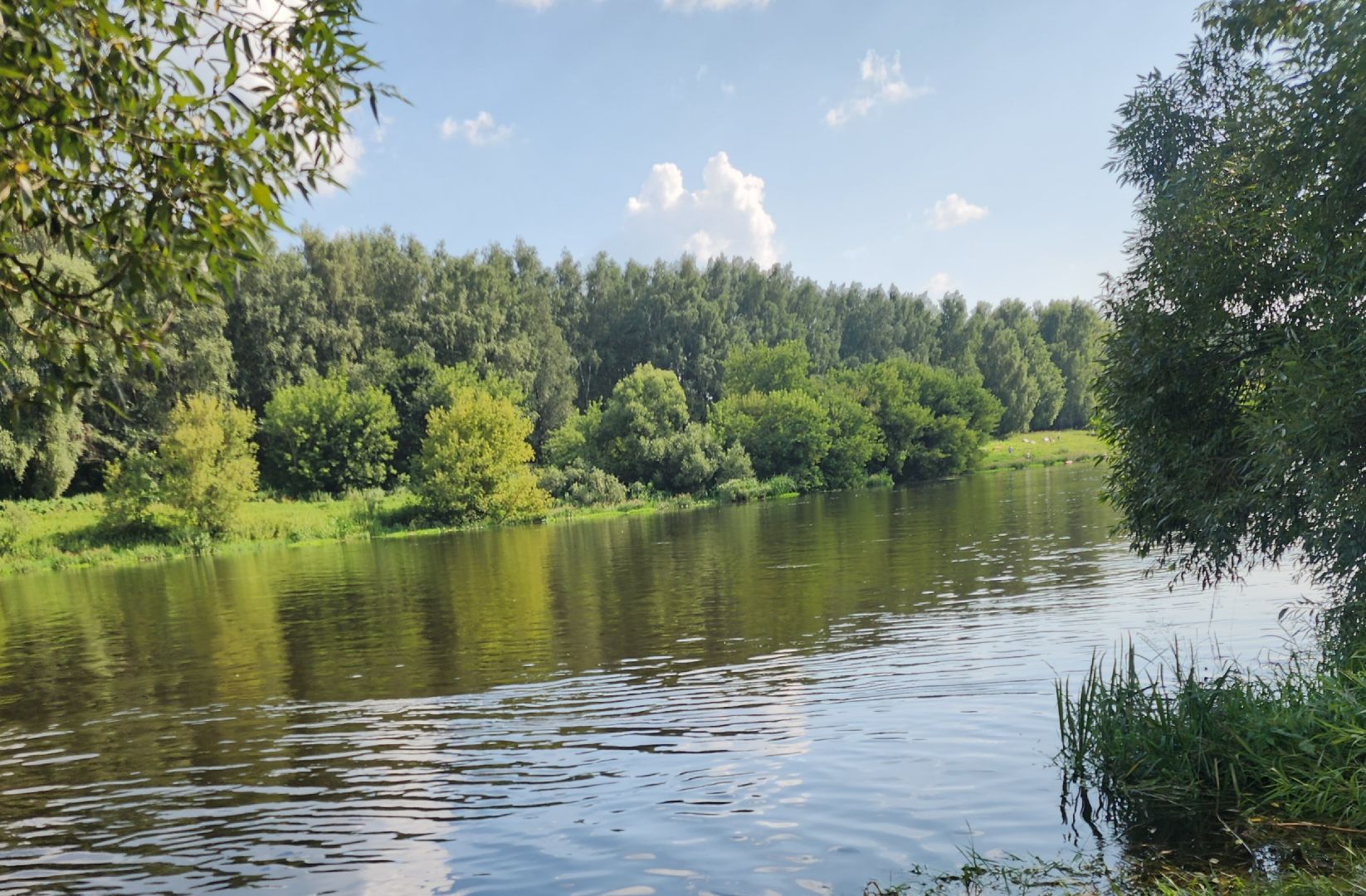 Туризм ,  Отдых у воды в Звенигороде , Водные прогулки в Звенигороде ,