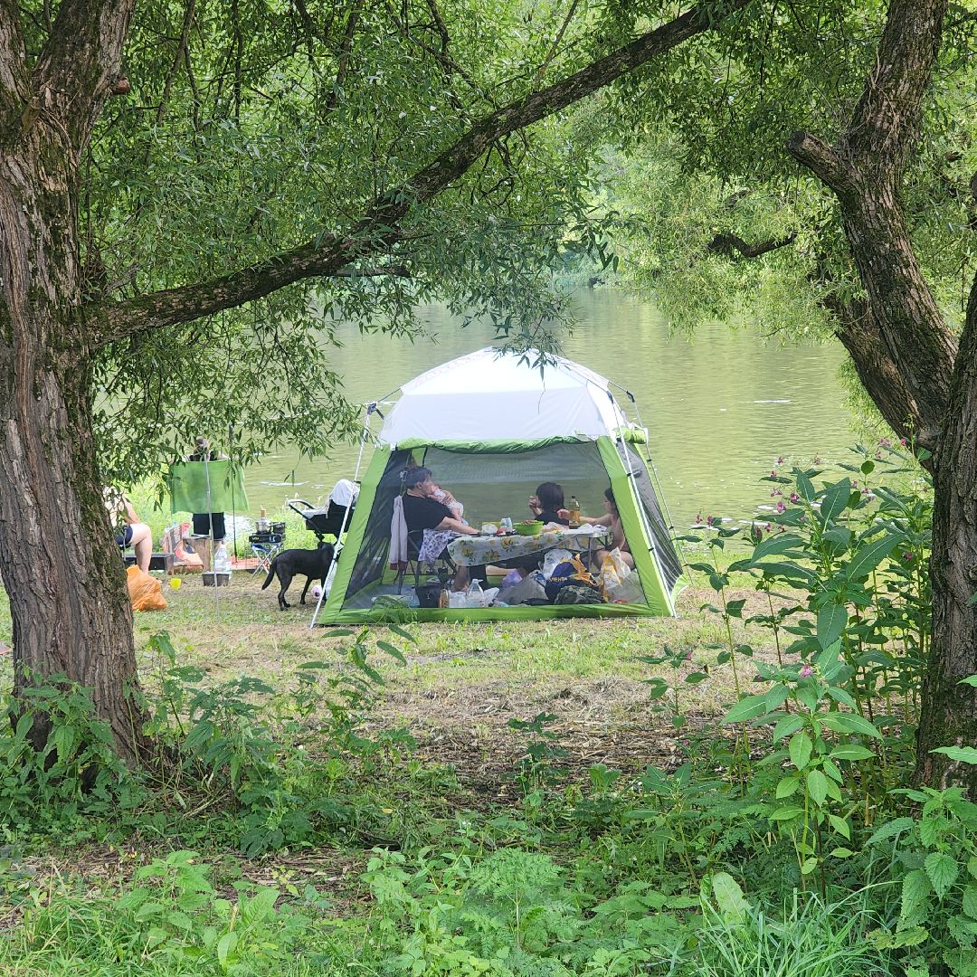 Туризм ,  Отдых у воды в Звенигороде , Водные прогулки в Звенигороде ,