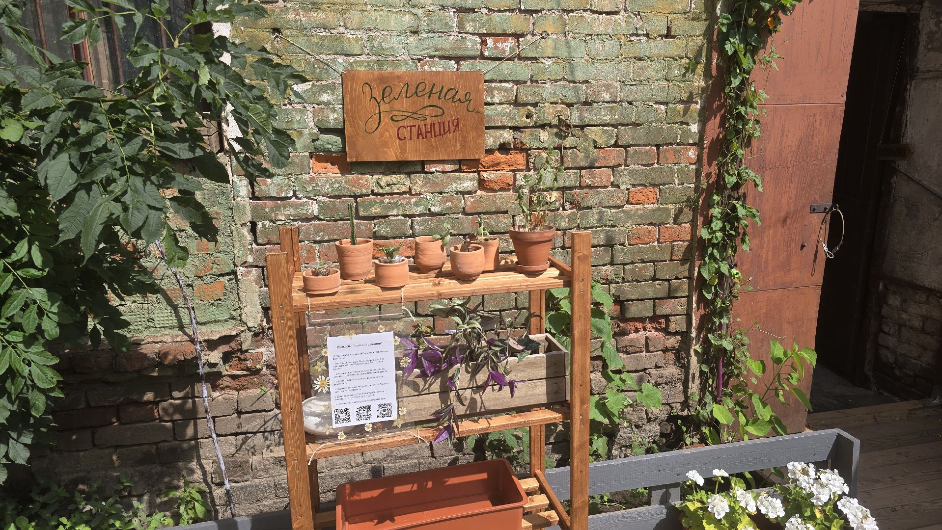 Коломна, обмен растениями,