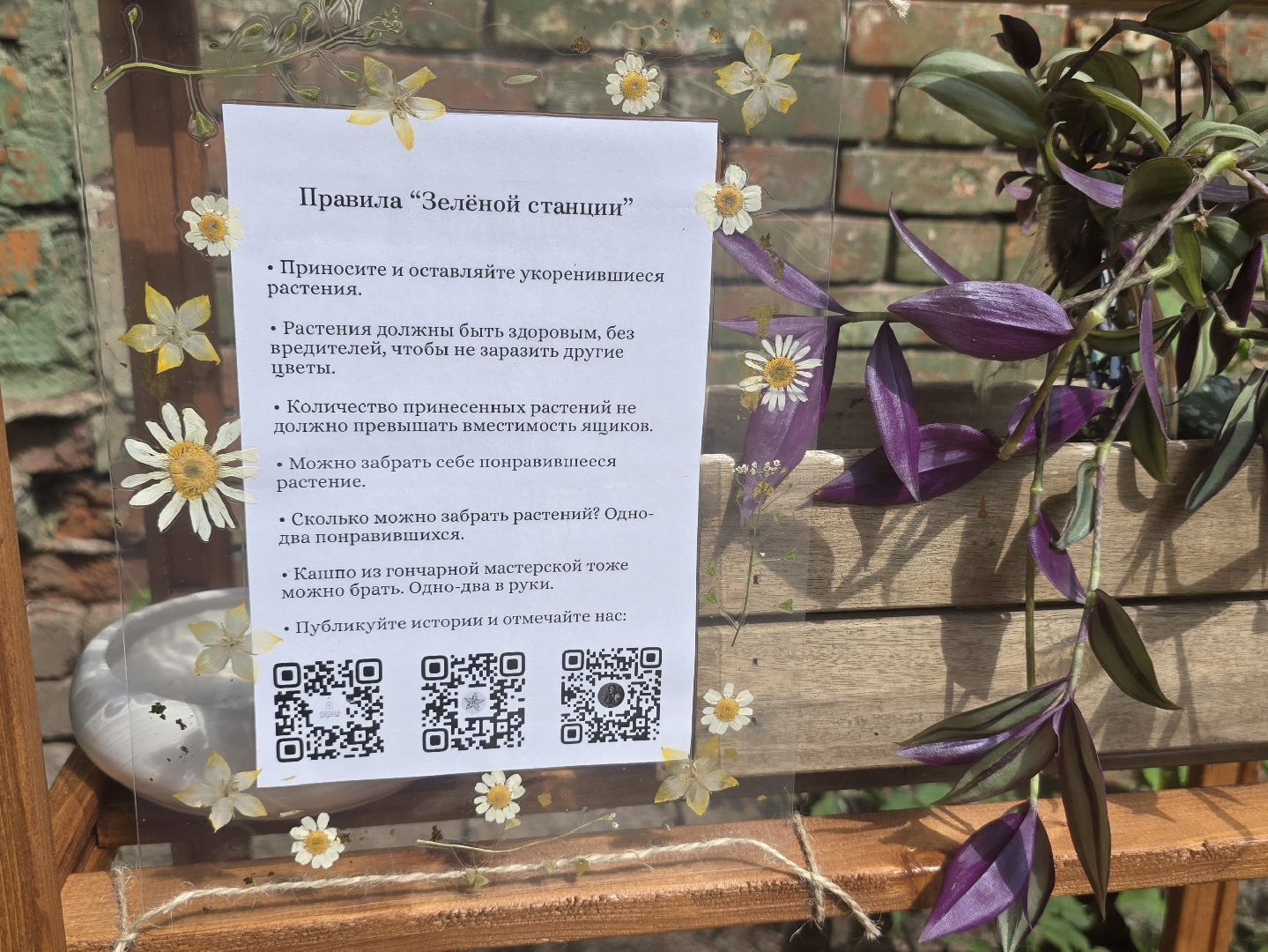 Коломна, обмен растениями,