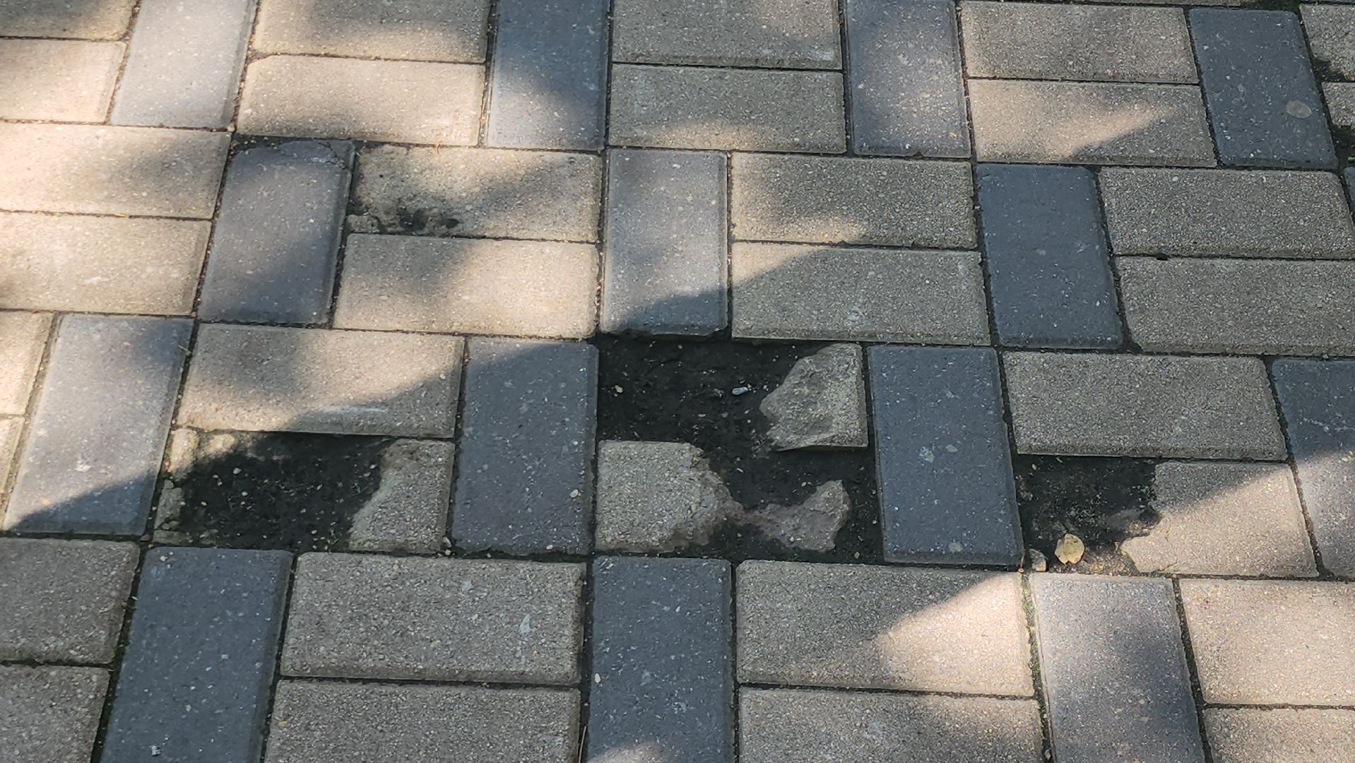 Истра, Сквер, благоуствойство,