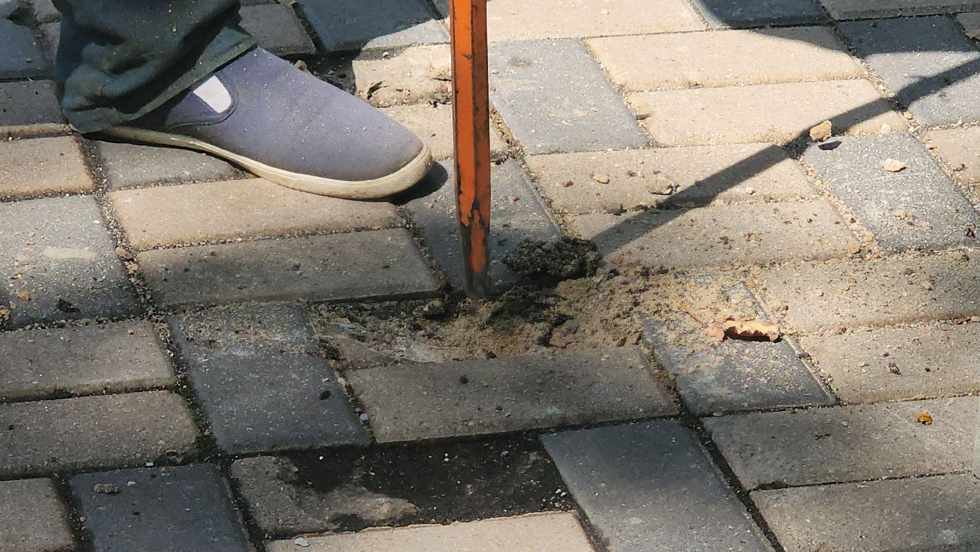 Истра, Сквер, благоуствойство,