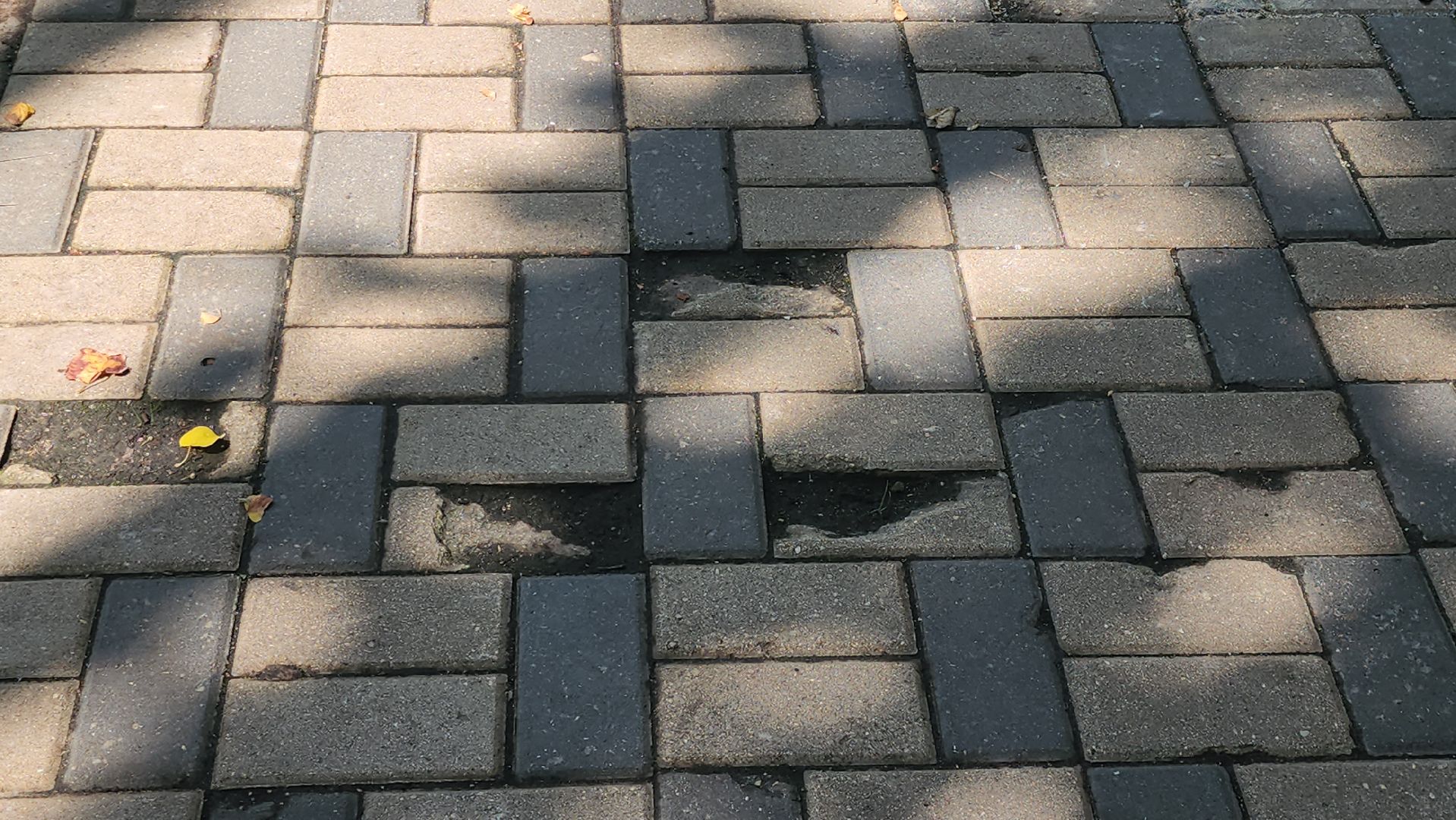 Истра, Сквер, благоуствойство,