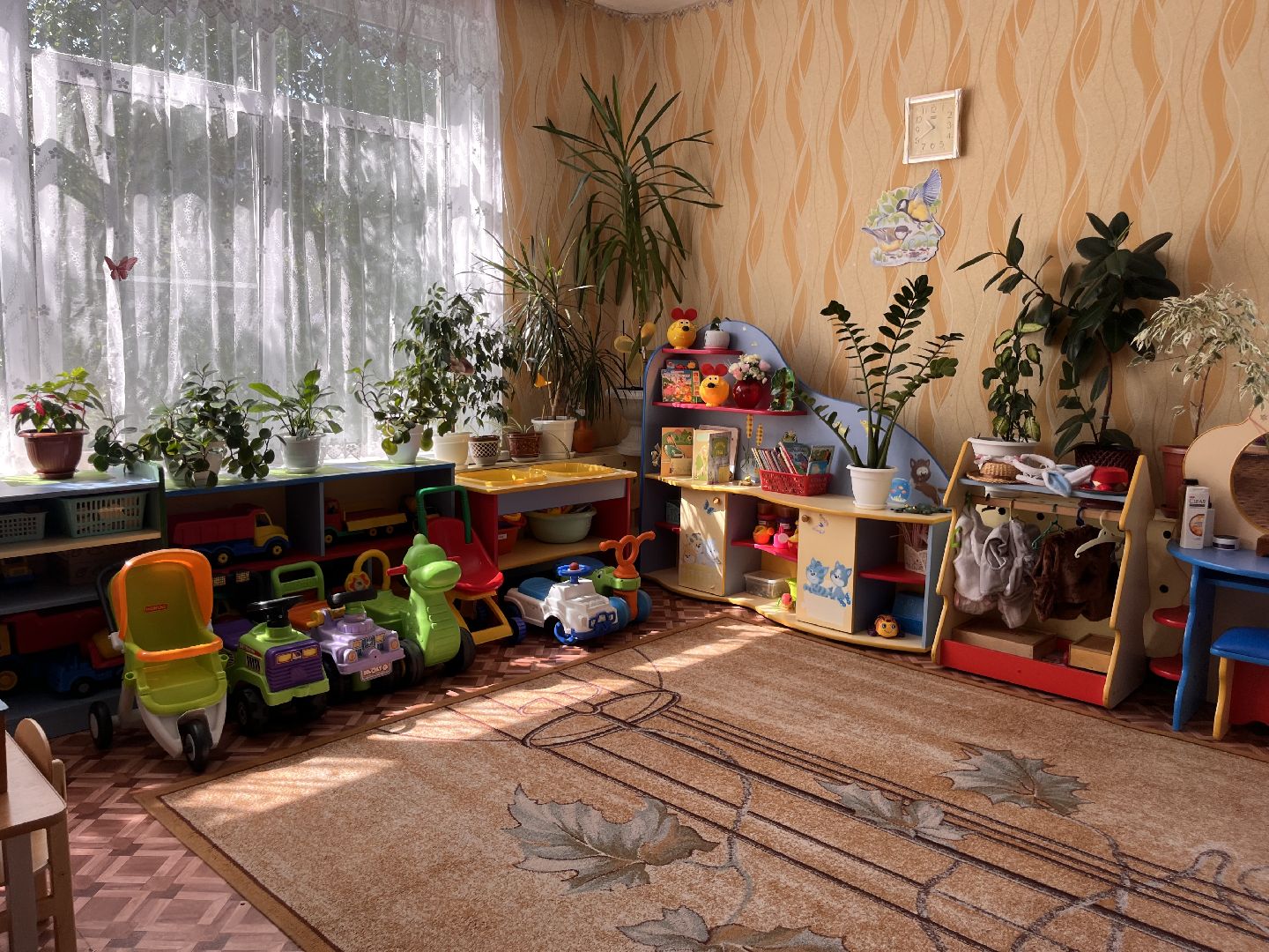 шатура, шатура 2025,  новости шатуры, шатура образование,