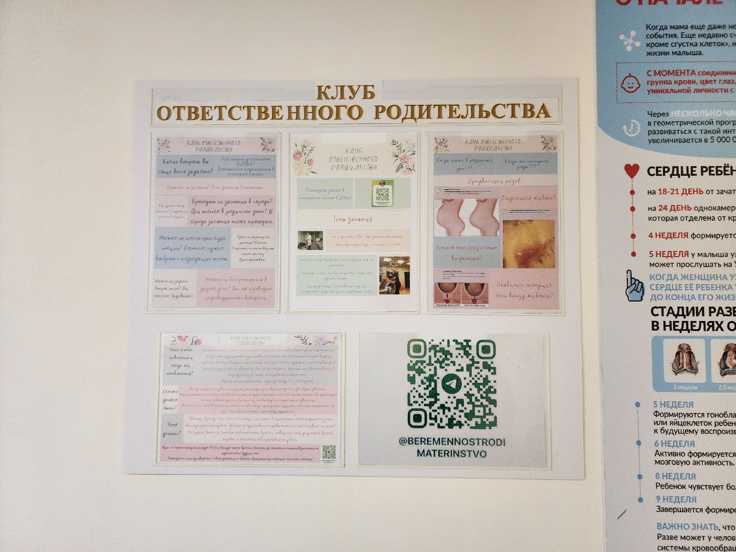 сергиев посад, сергиево-посадский городской округ, роддом мишутино, центр материнства и детства, сергиево-посадский роддом, вертикальные роды, естественные роды, оперативные роды, кесарево сечение,