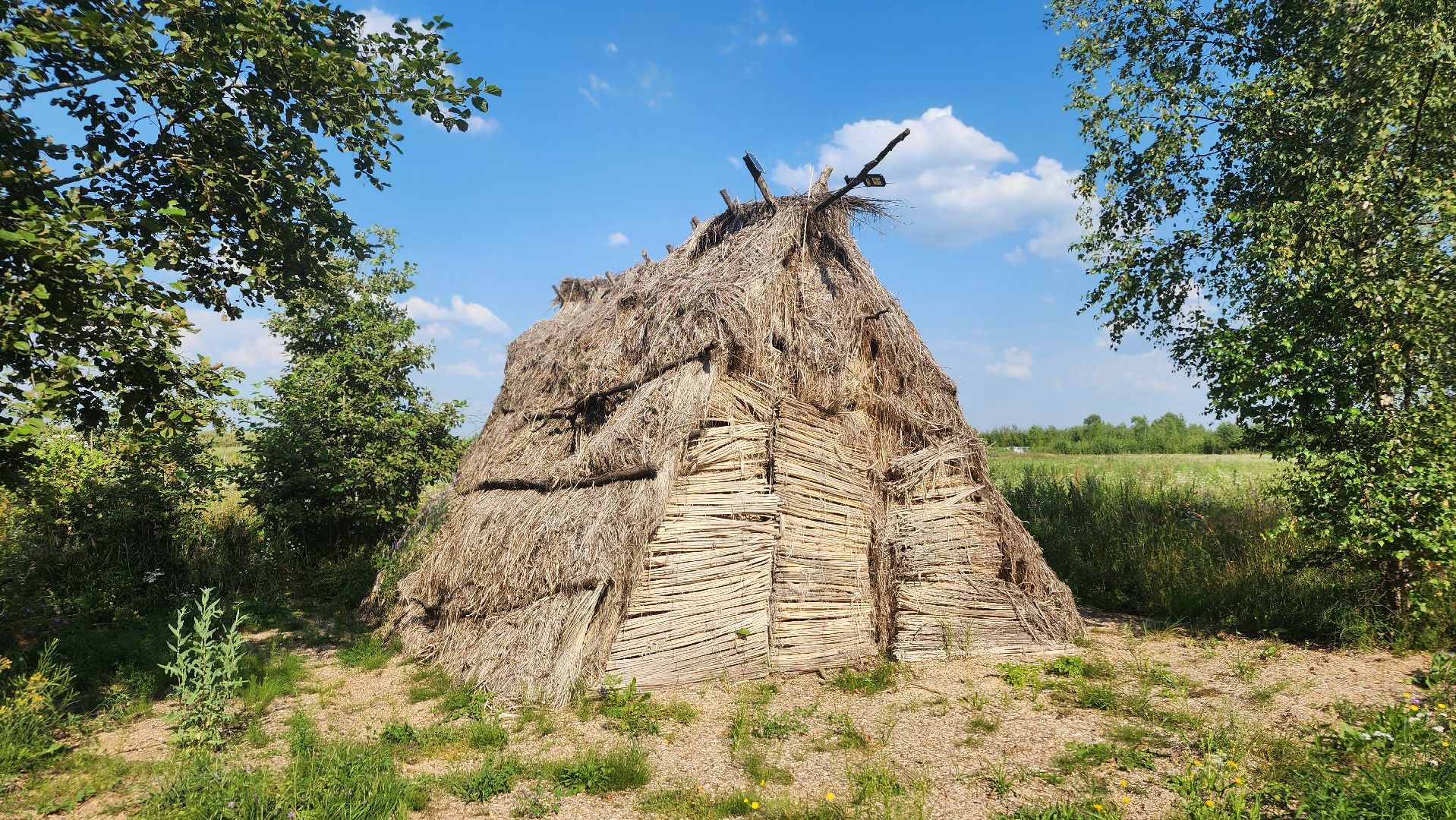 волоколамск, коноплеводство, экономика,