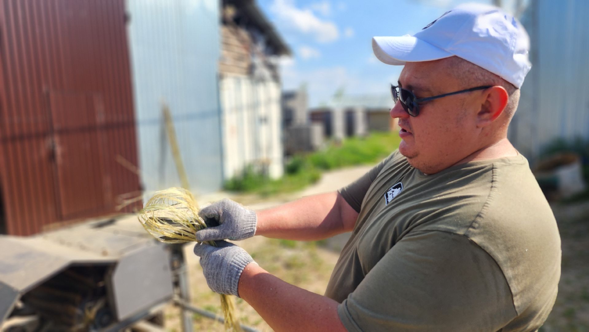волоколамск, коноплеводство, экономика,