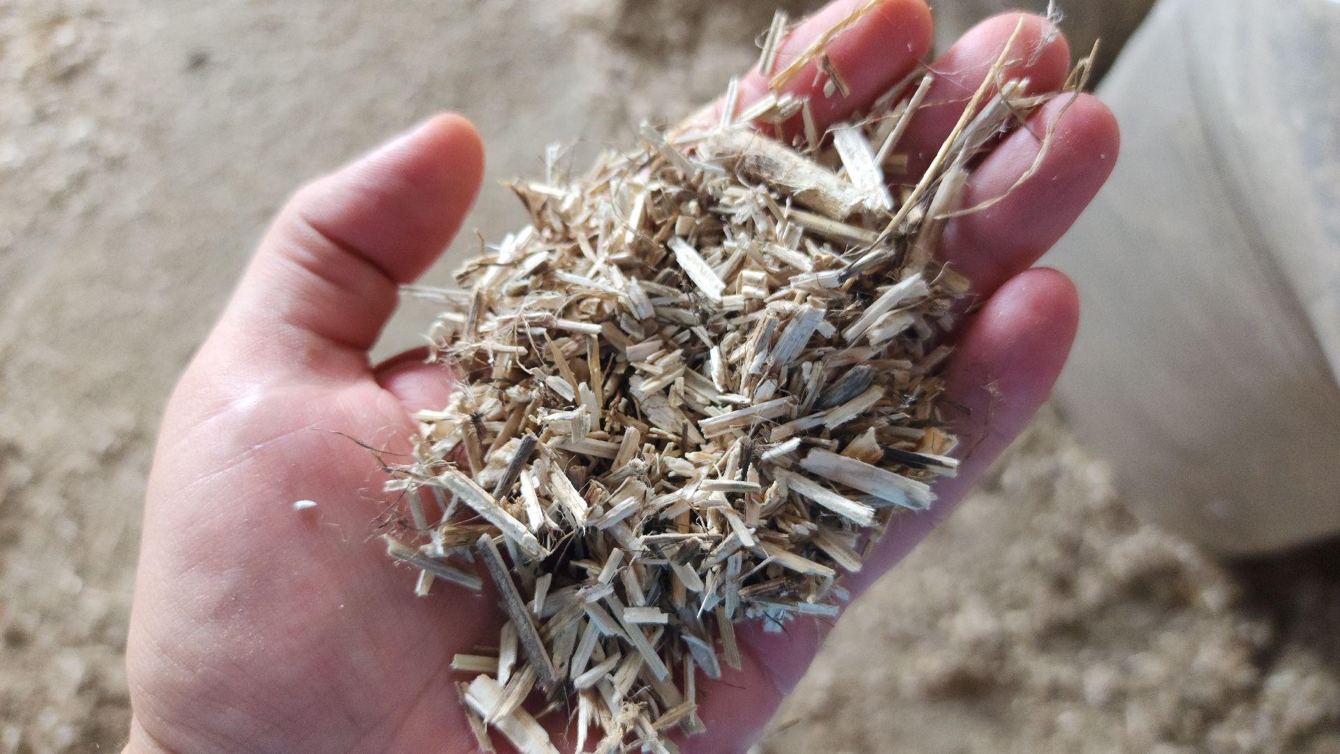 волоколамск, коноплеводство, экономика,