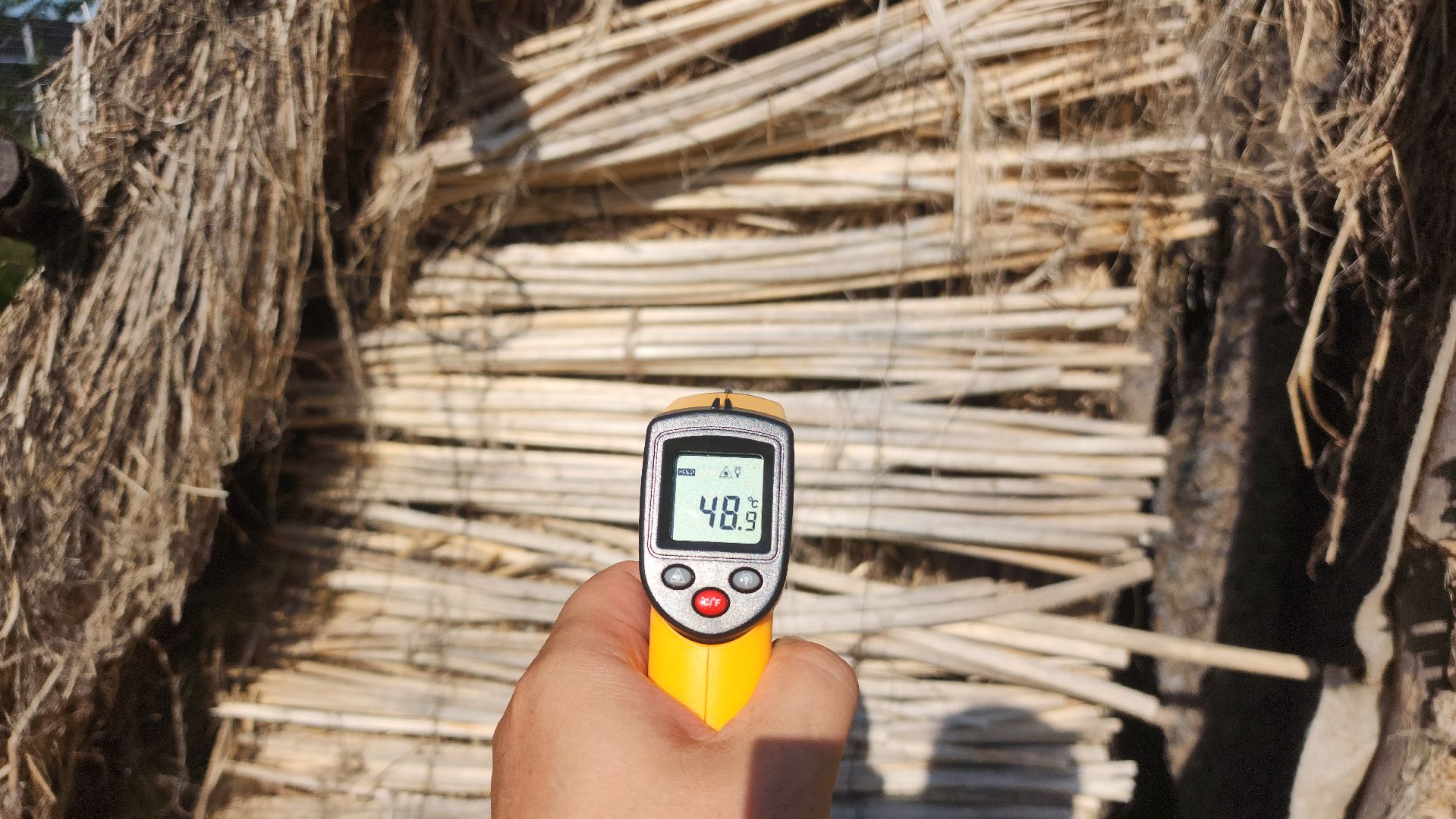 волоколамск, коноплеводство, экономика,