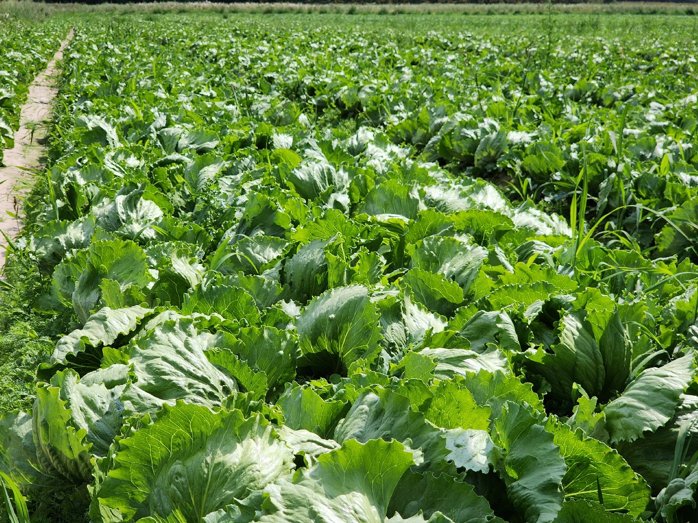 Егорьевск, Подмосковье, Московская область,