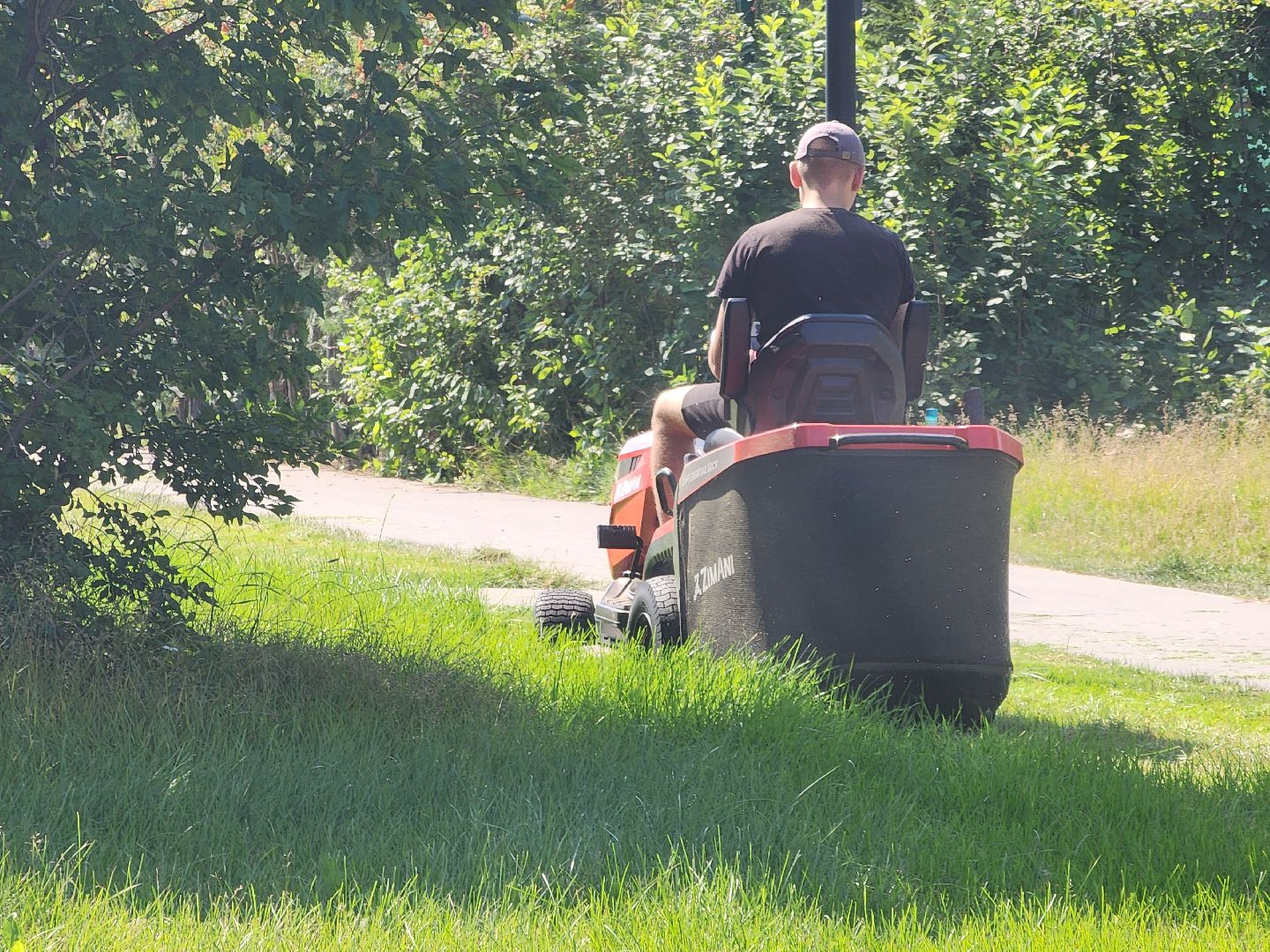 Черноголовка, Газонокосилка, Благоустройство,