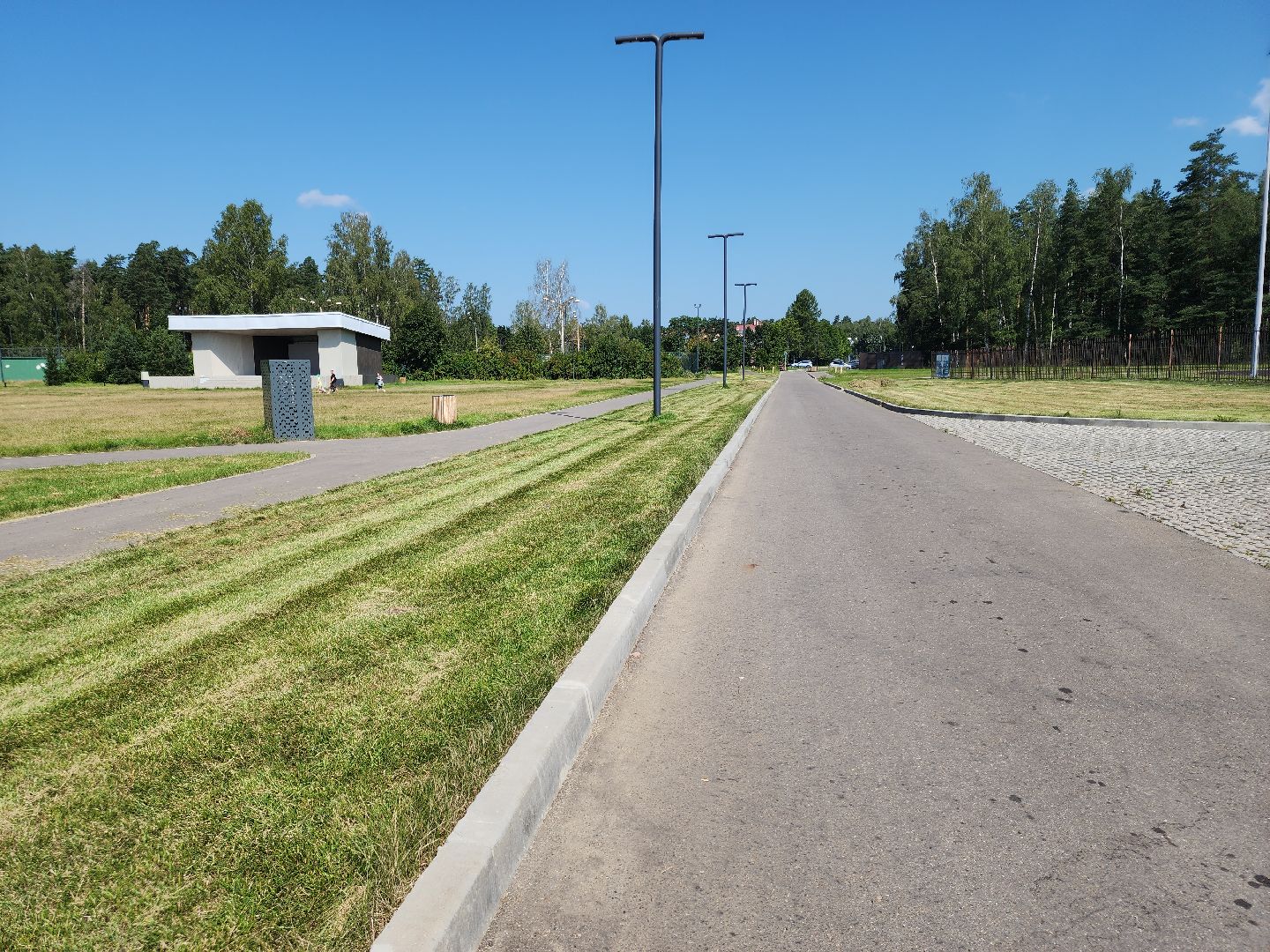 Черноголовка, Газонокосилка, Благоустройство,