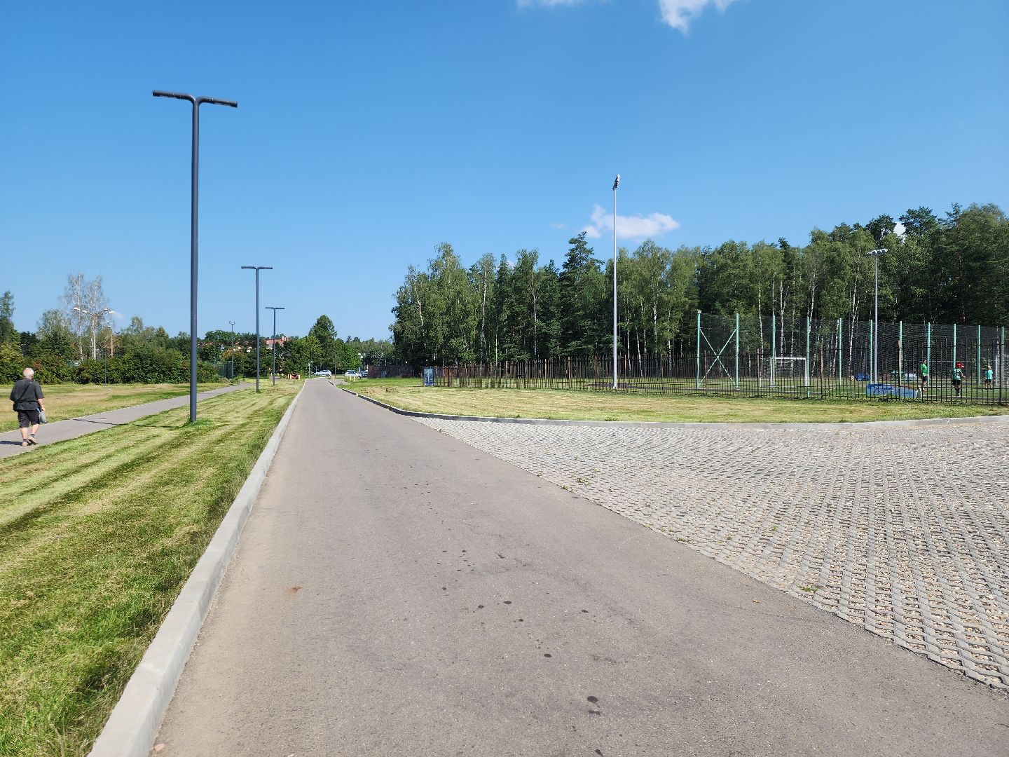 Черноголовка, Газонокосилка, Благоустройство,