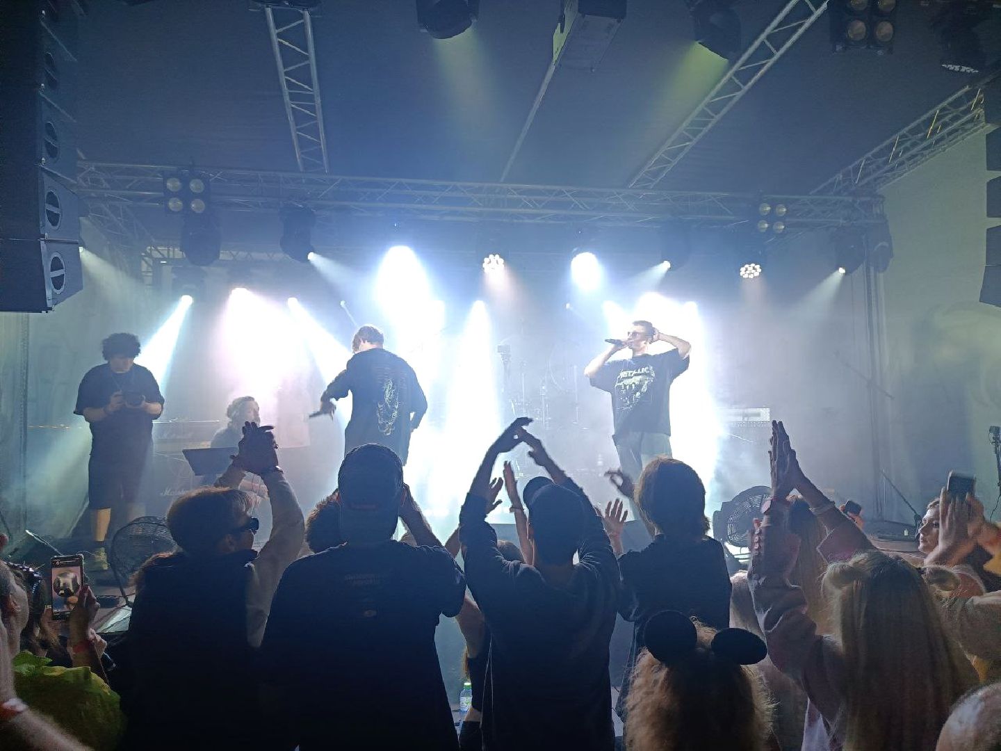 домодедово, культура,  музыка, досуг, группа, племхоз, дуэт, подмосковье, фестиваль,