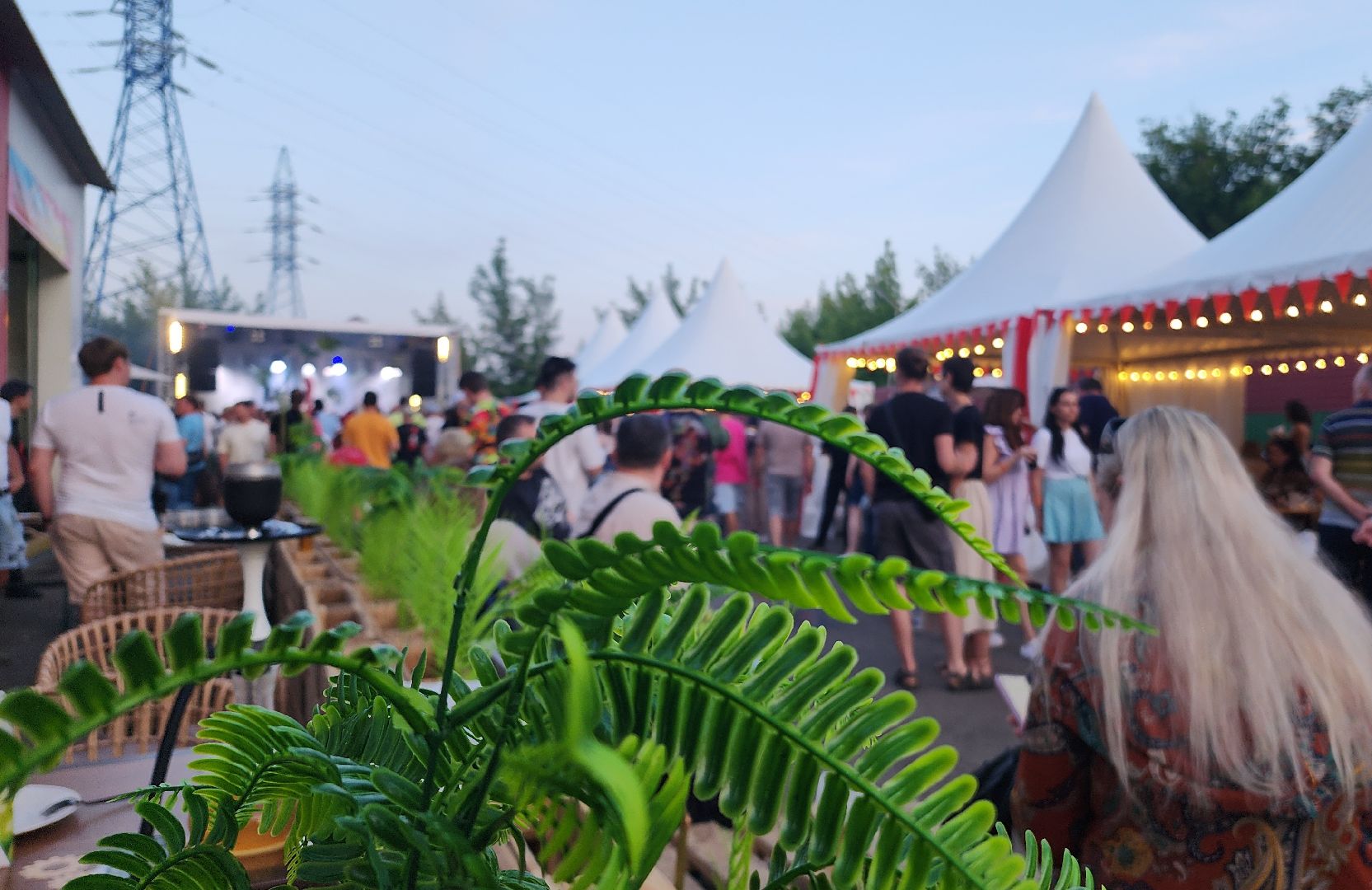 домодедово, культура,  музыка, досуг, группа, племхоз, дуэт, подмосковье, фестиваль,