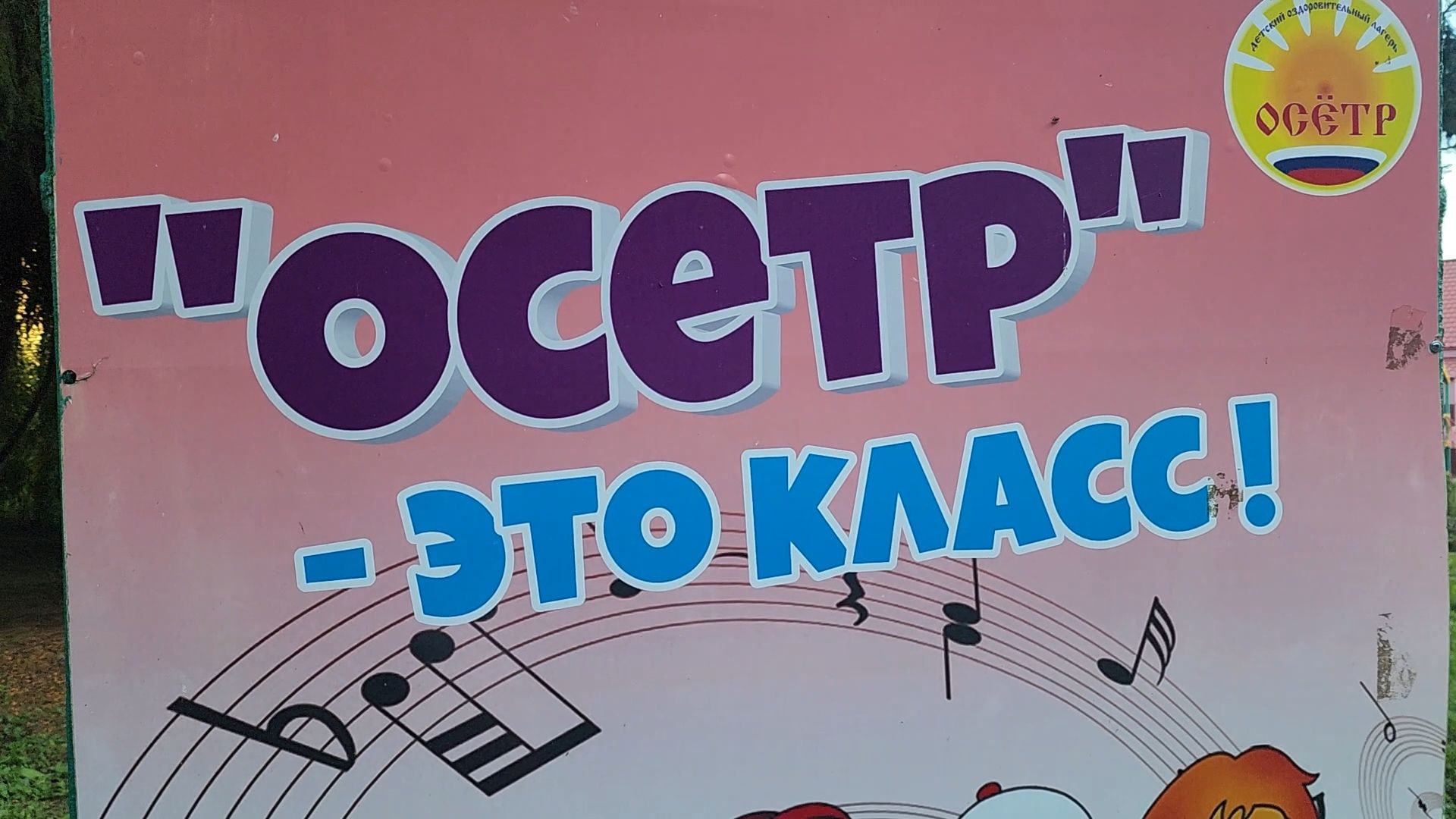 Зарайск, дол осетр,  летние каникулы, смена в лагере, отдых детей,