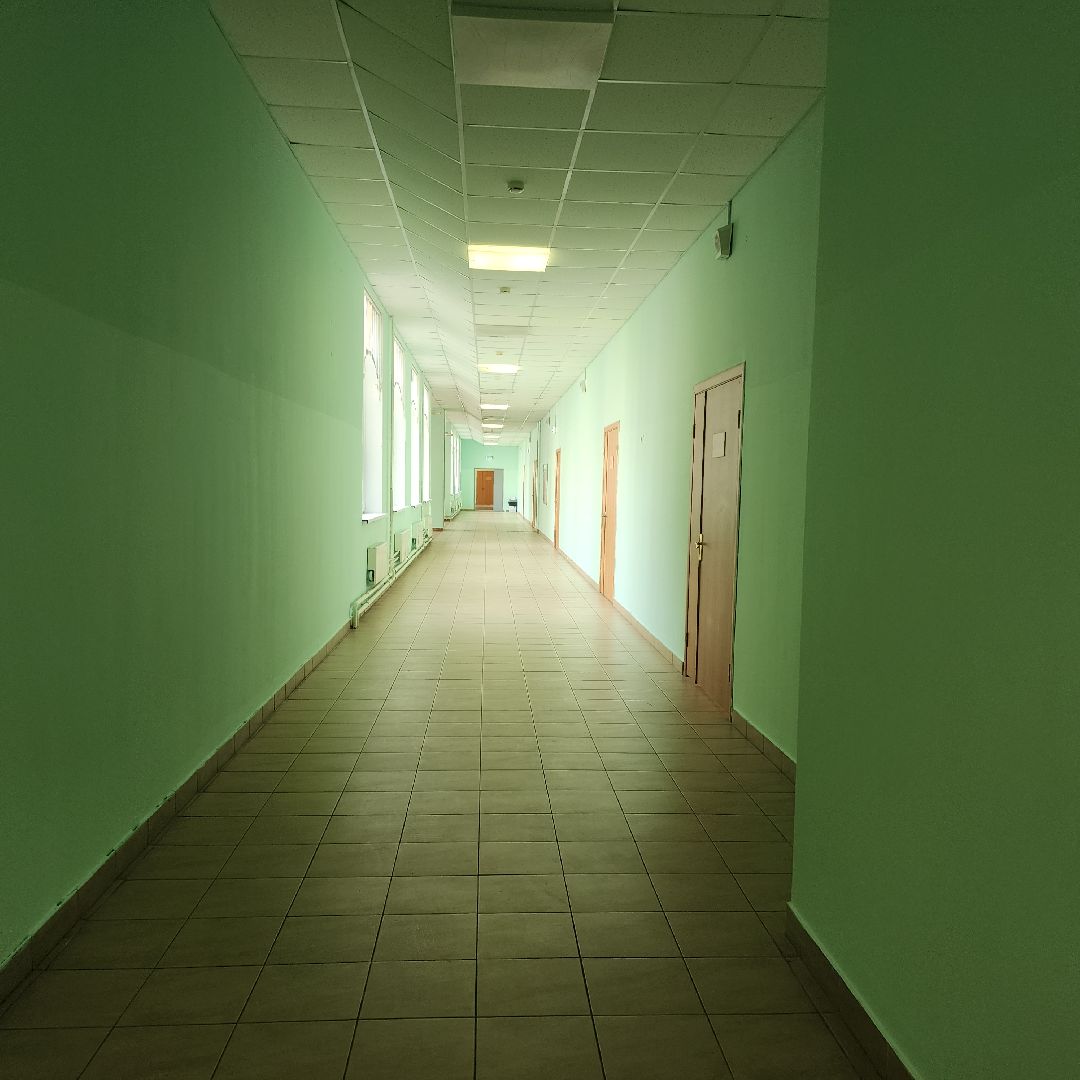 Образование, Ремонт в школах , Благоустройство школ , Общество ,