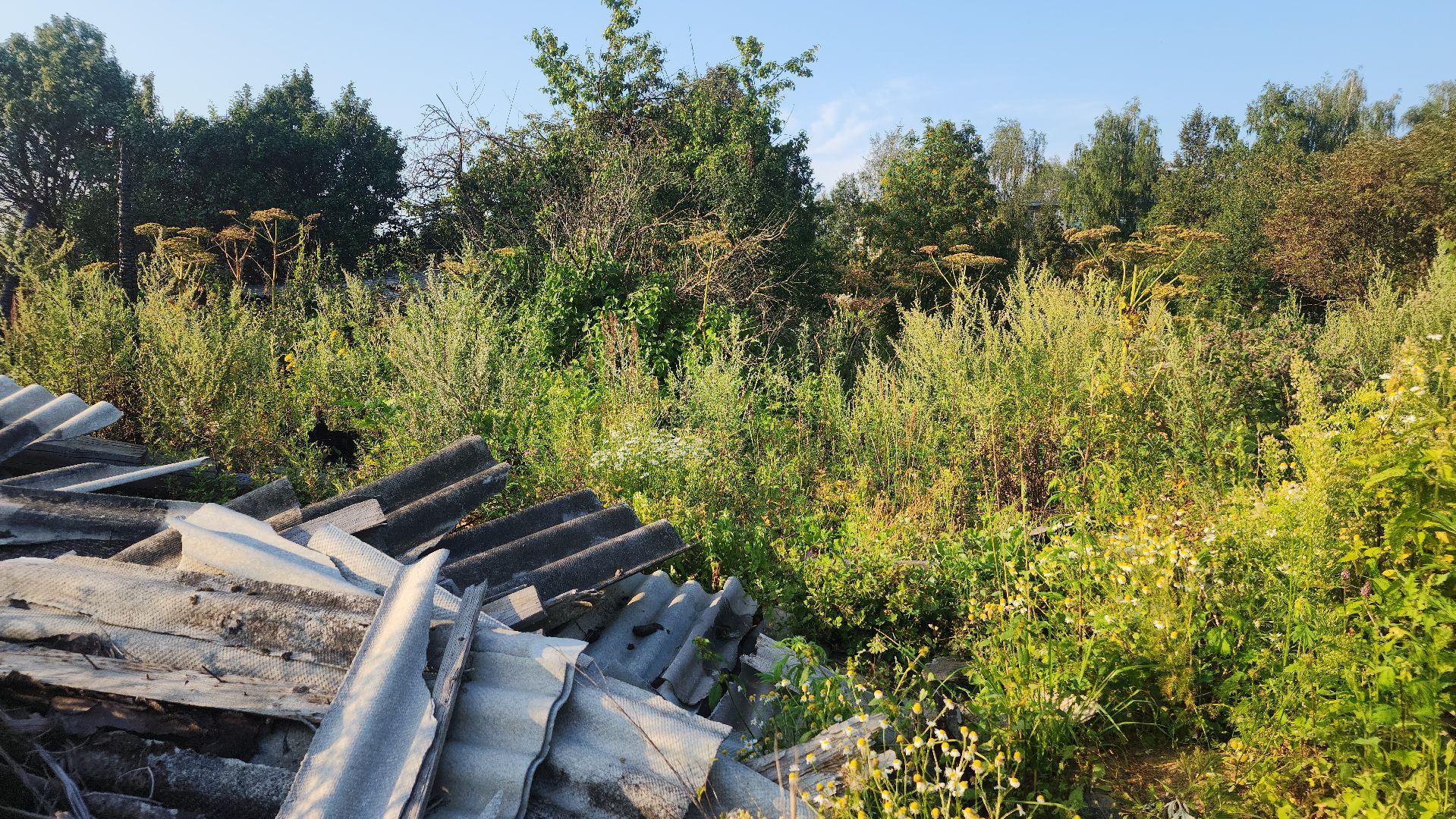 волоколамск,  выездная администрация, благоустройство,