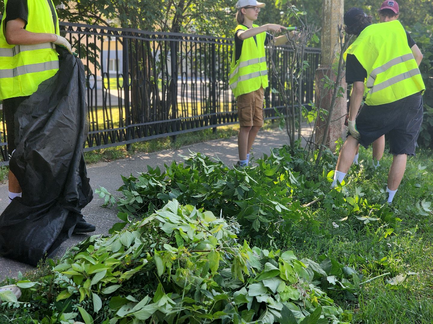 дубна, благоуйстройство, обрезка кустов, санитарная стрижка,