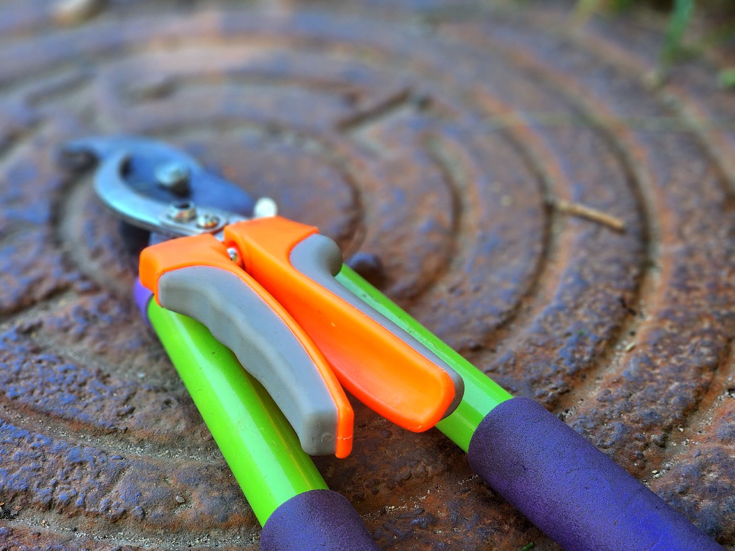 дубна, благоуйстройство, обрезка кустов, санитарная стрижка,