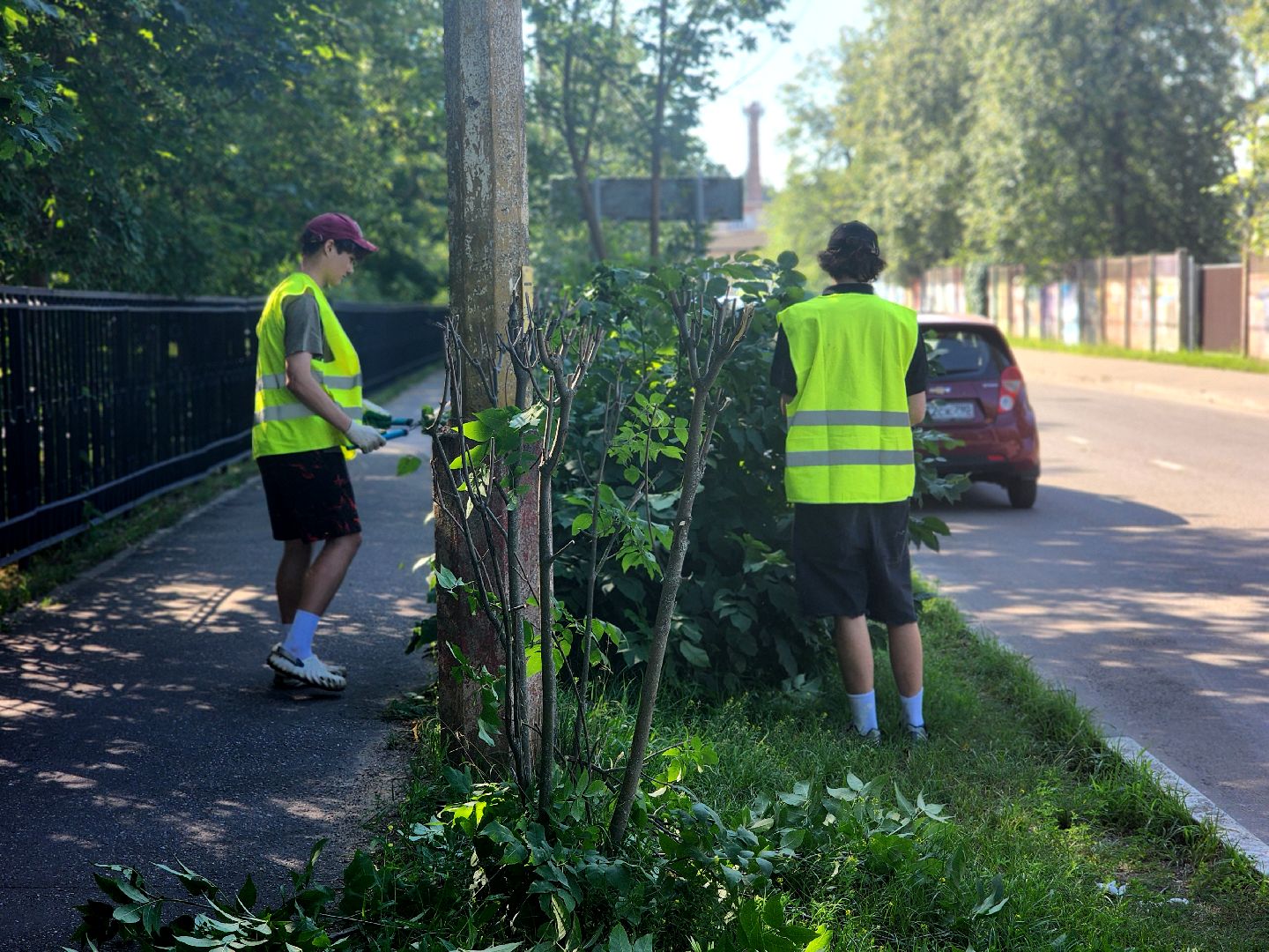 дубна, благоуйстройство, обрезка кустов, санитарная стрижка,
