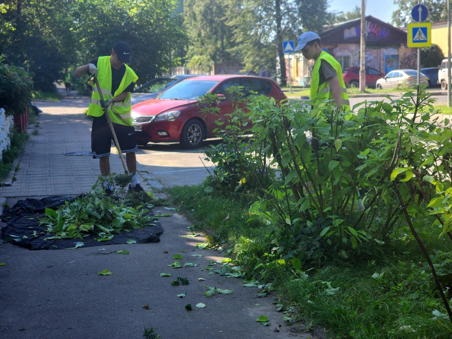 дубна, благоуйстройство, обрезка кустов, санитарная стрижка,