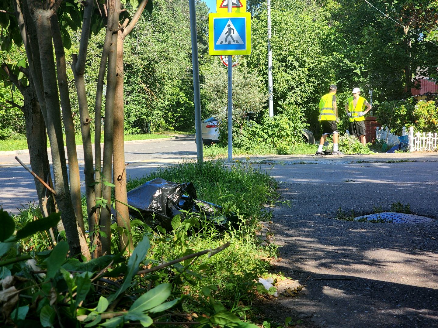 дубна, благоуйстройство, обрезка кустов, санитарная стрижка,