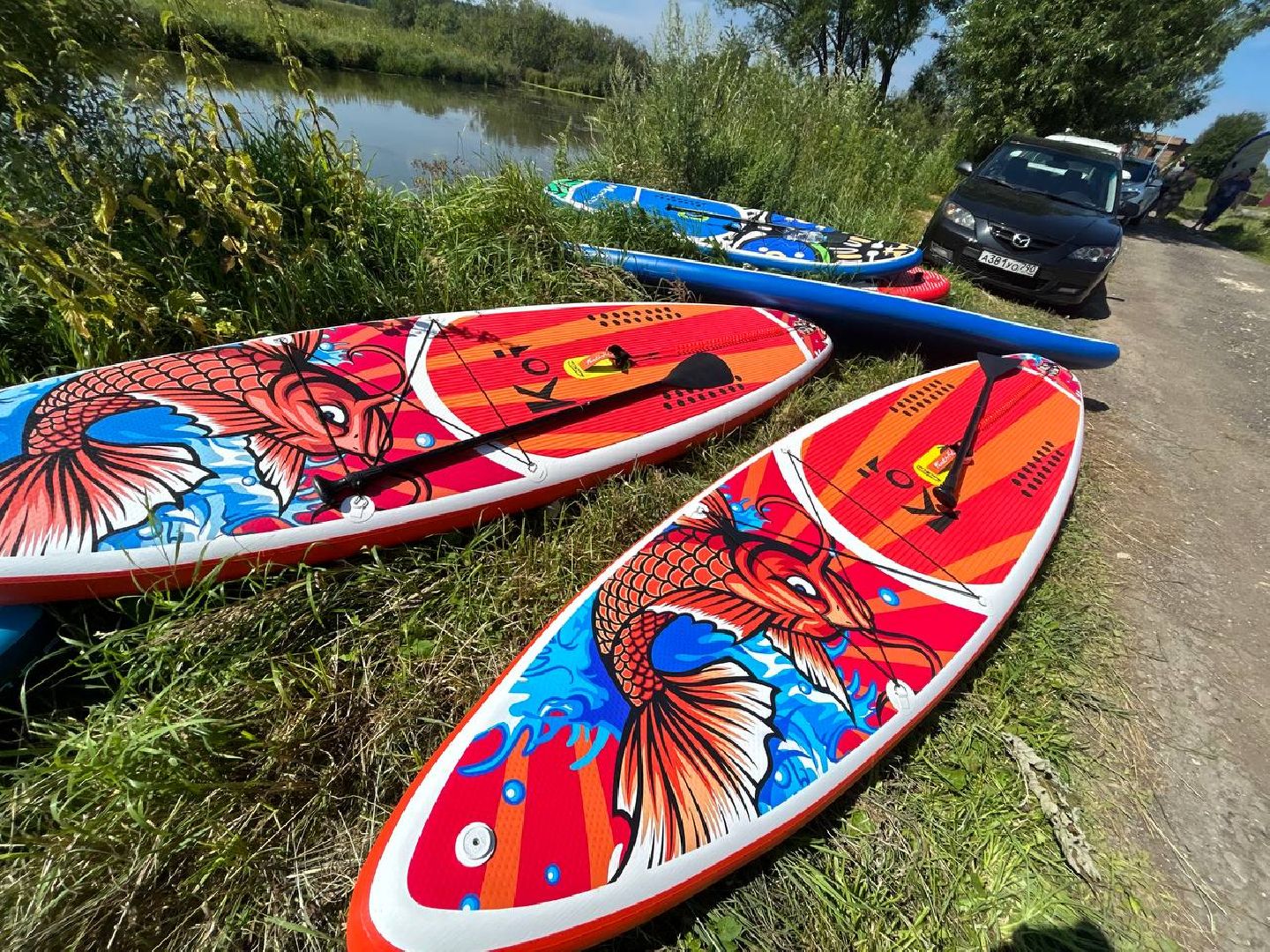 домодедово, досуг, сап, сап-борды, отдых у воды, отдых на воде, подмосковье,