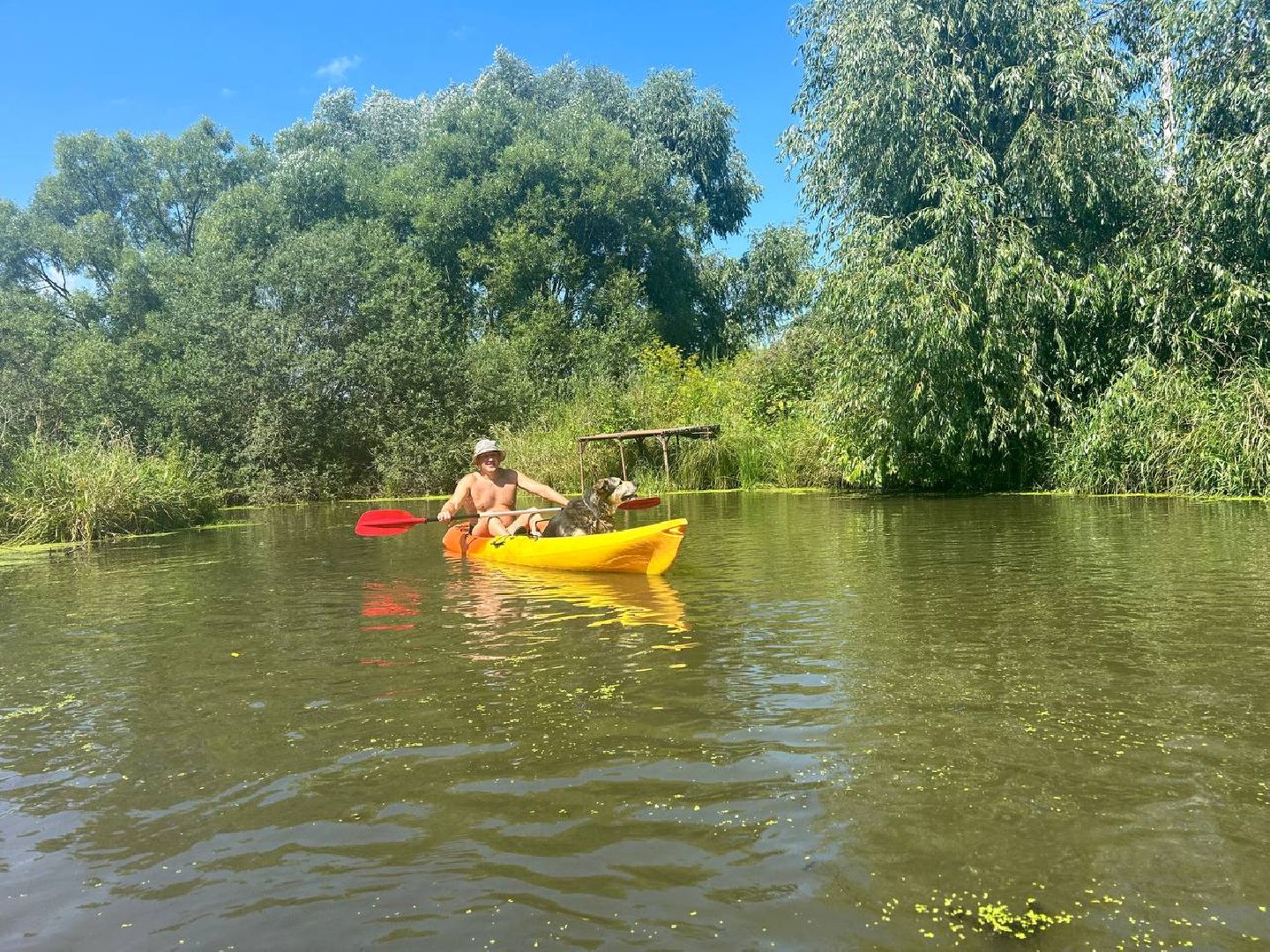 домодедово, досуг, сап, сап-борды, отдых у воды, отдых на воде, подмосковье,
