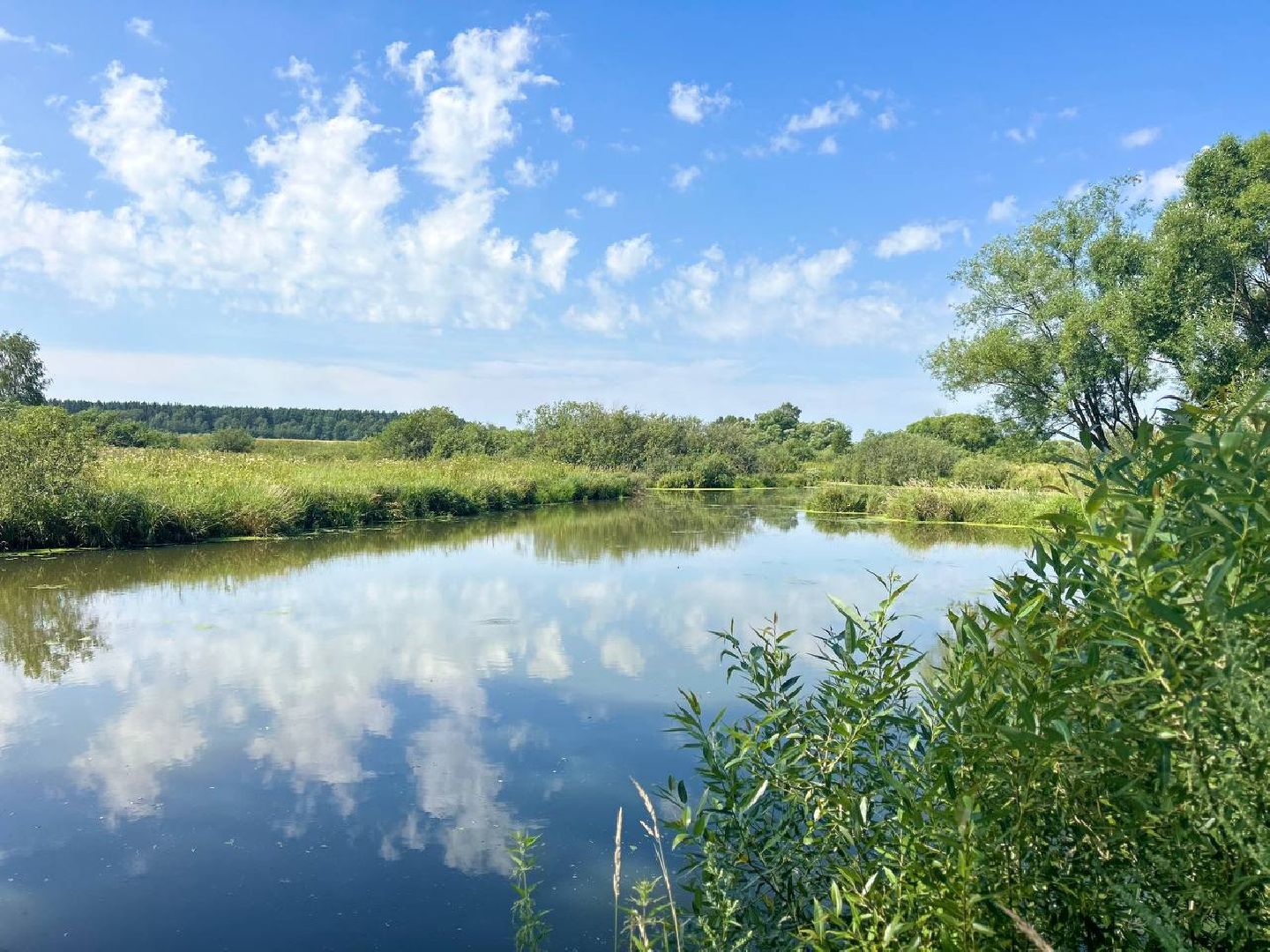 домодедово, досуг, сап, сап-борды, отдых у воды, отдых на воде, подмосковье,