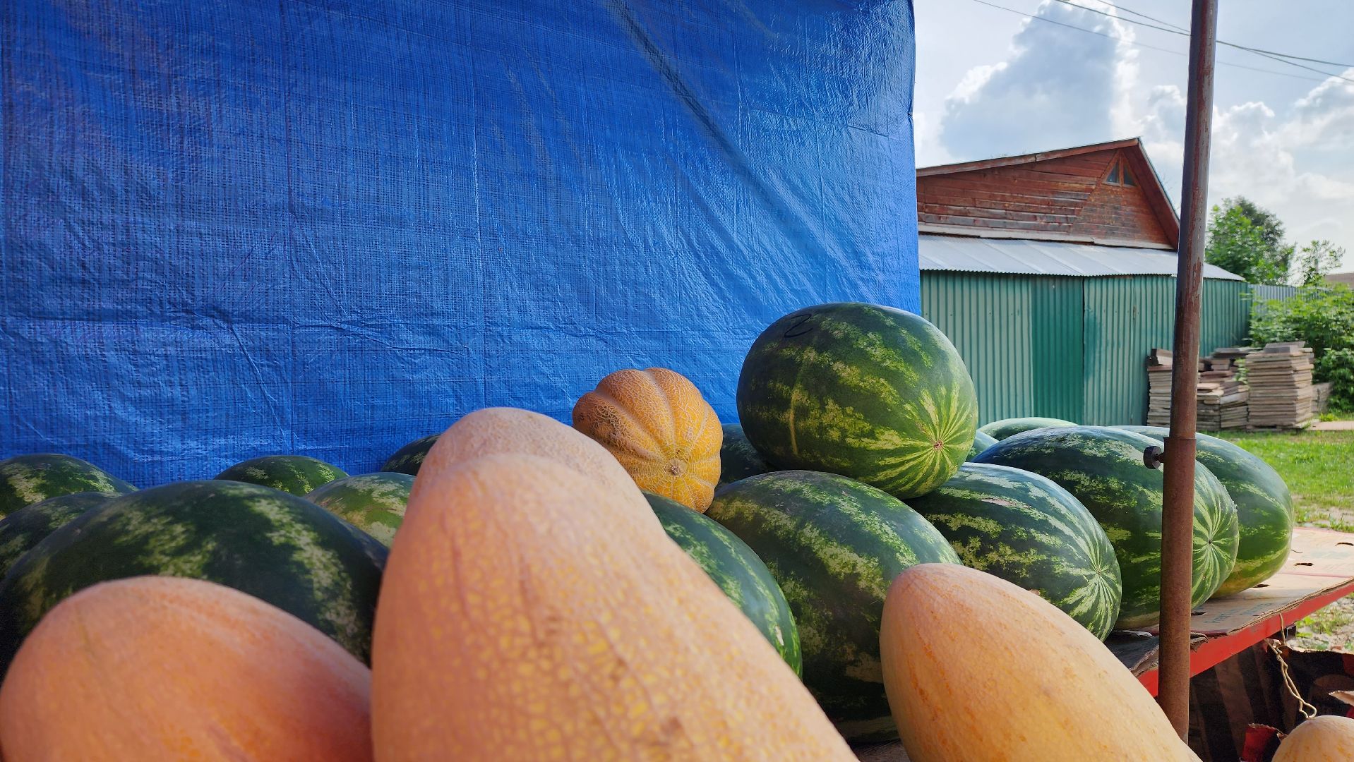 истра, потребительский рынок, проверка торговых точек,