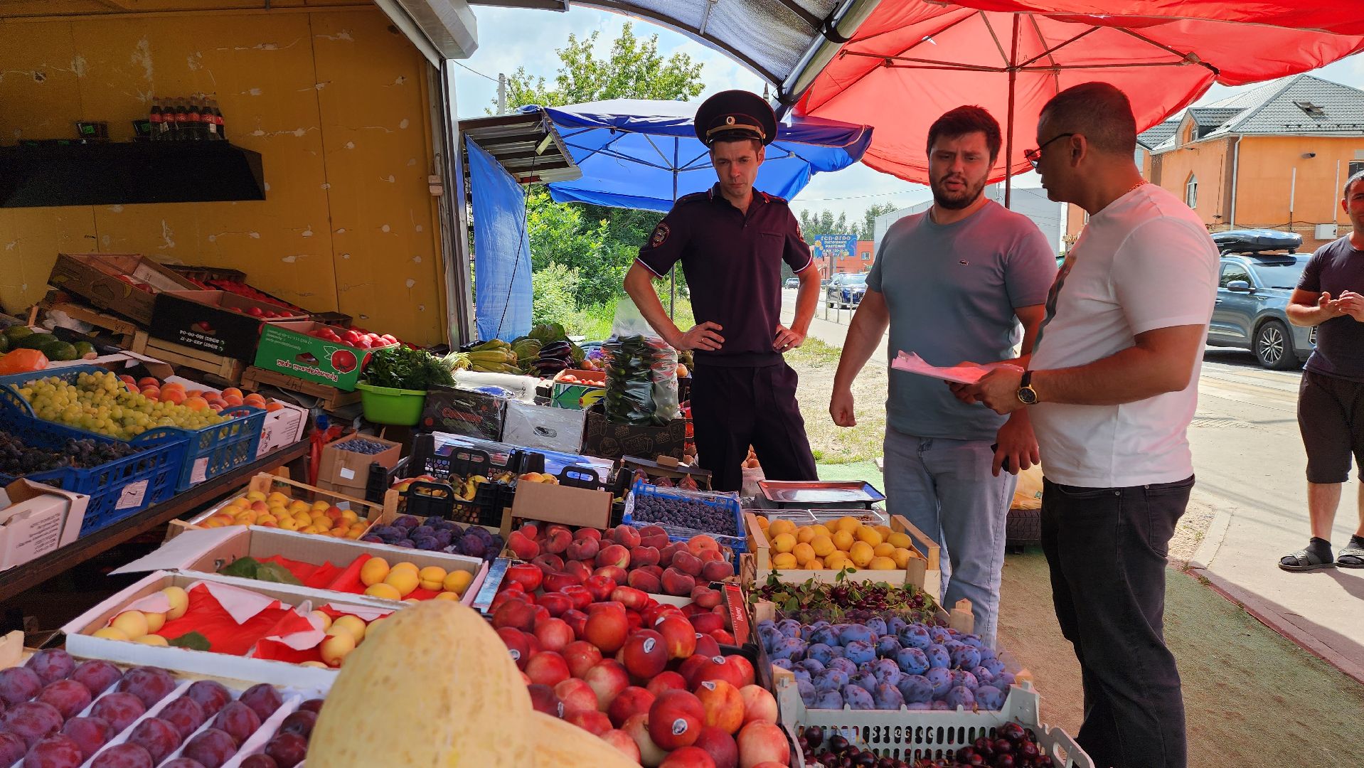 истра, потребительский рынок, проверка торговых точек,