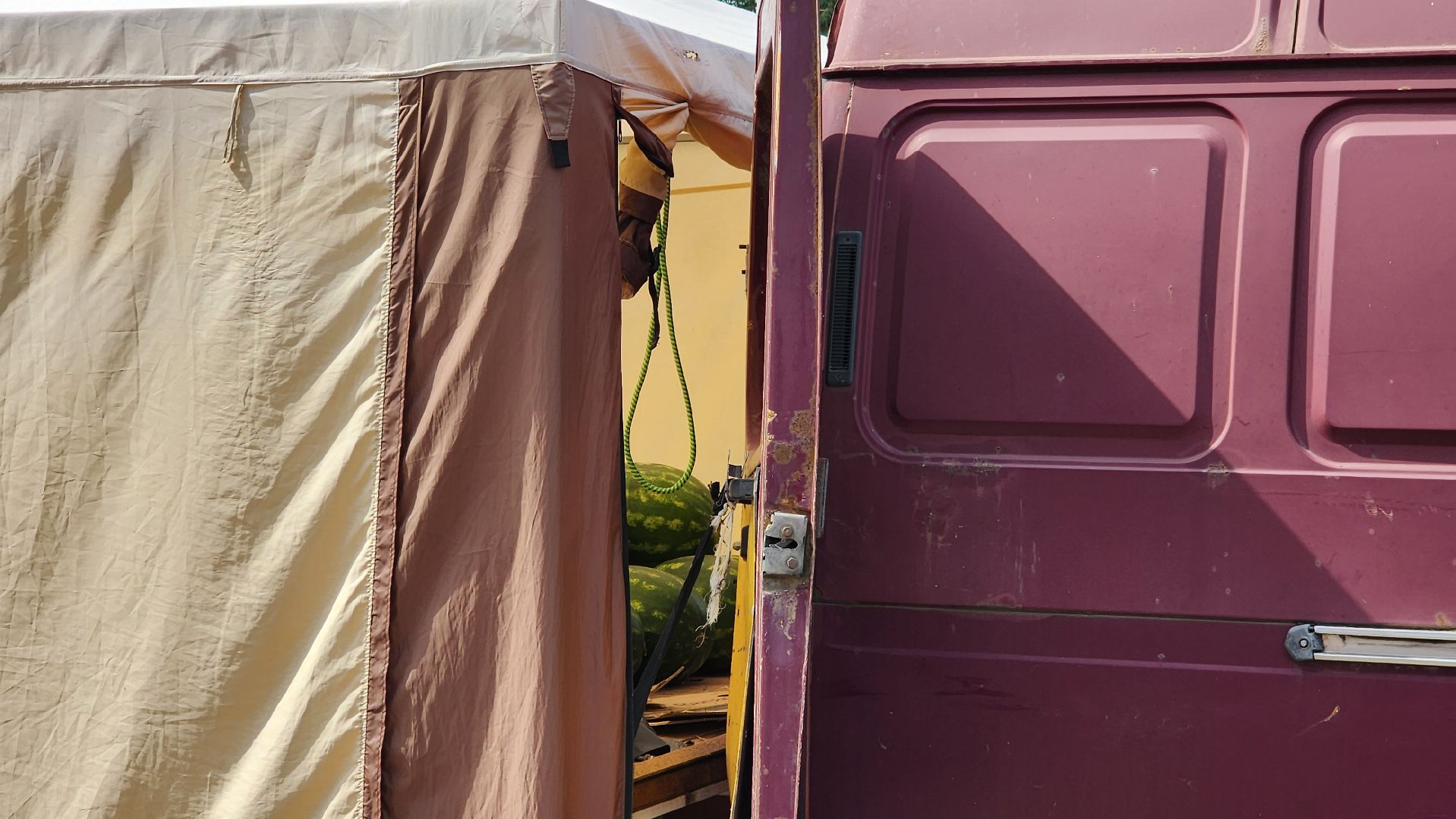 истра, потребительский рынок, проверка торговых точек,