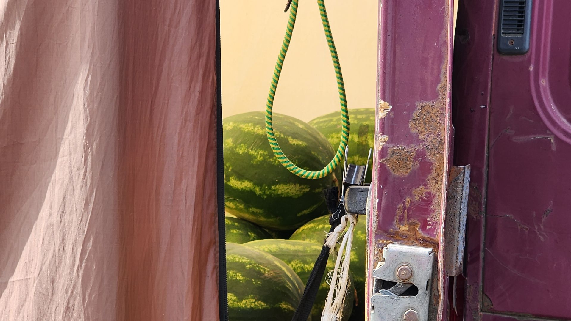 истра, потребительский рынок, проверка торговых точек,