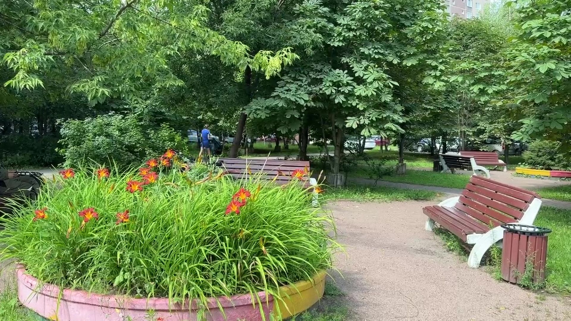 Реутов, каштановый сквер, деревья, благоустройство,