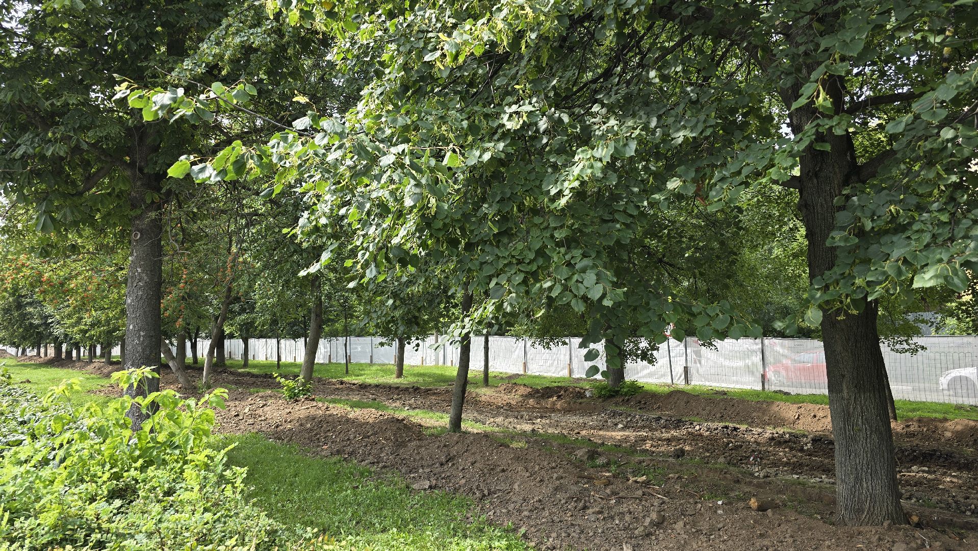 Коломна, благоустройство,прогулочная зона,