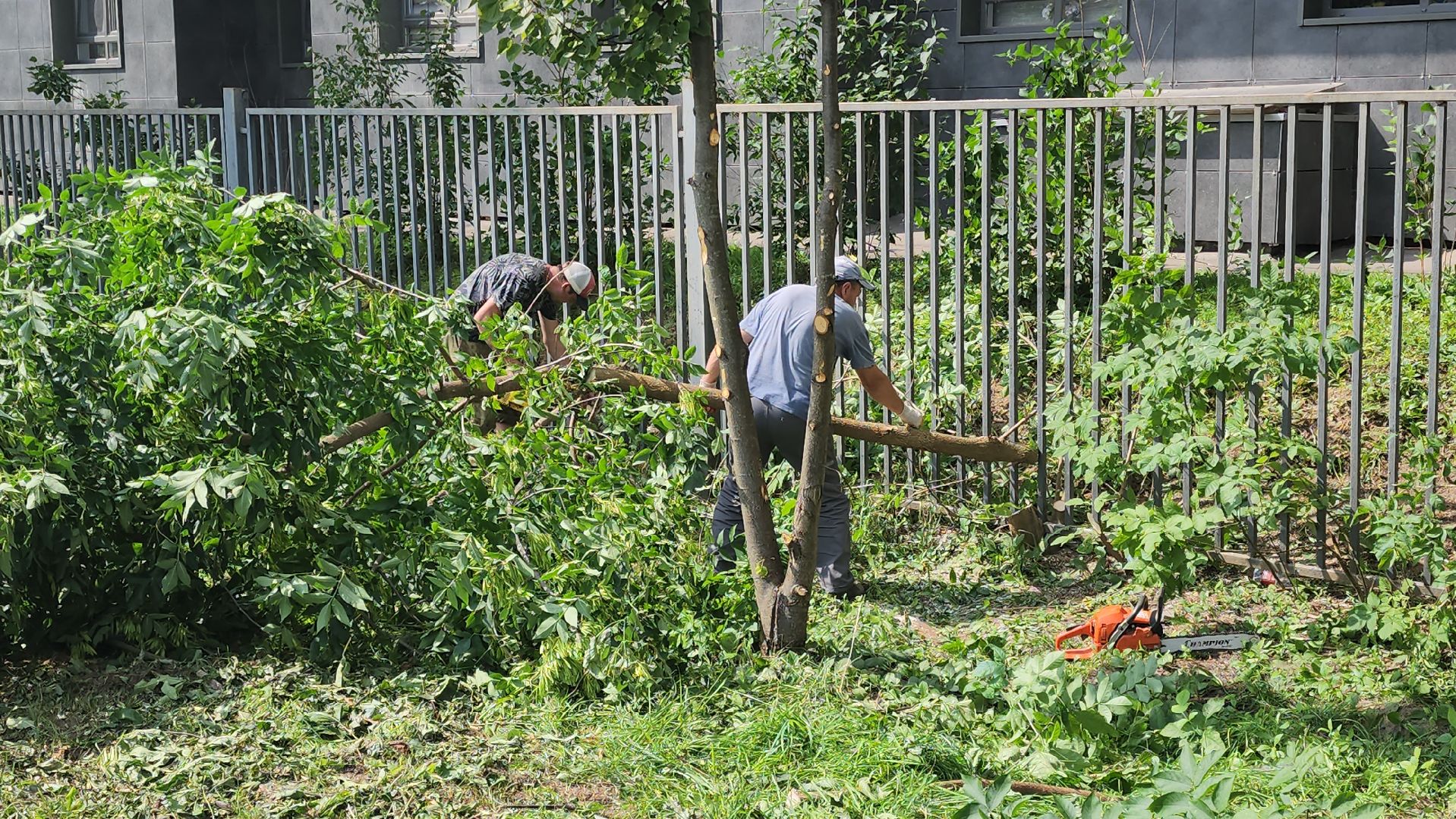 сергиево-посадский городской округ, хотьково, Бульвар художников, благоустройство,