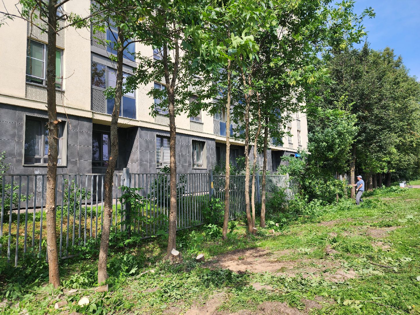 сергиево-посадский городской округ, хотьково, Бульвар художников, благоустройство,