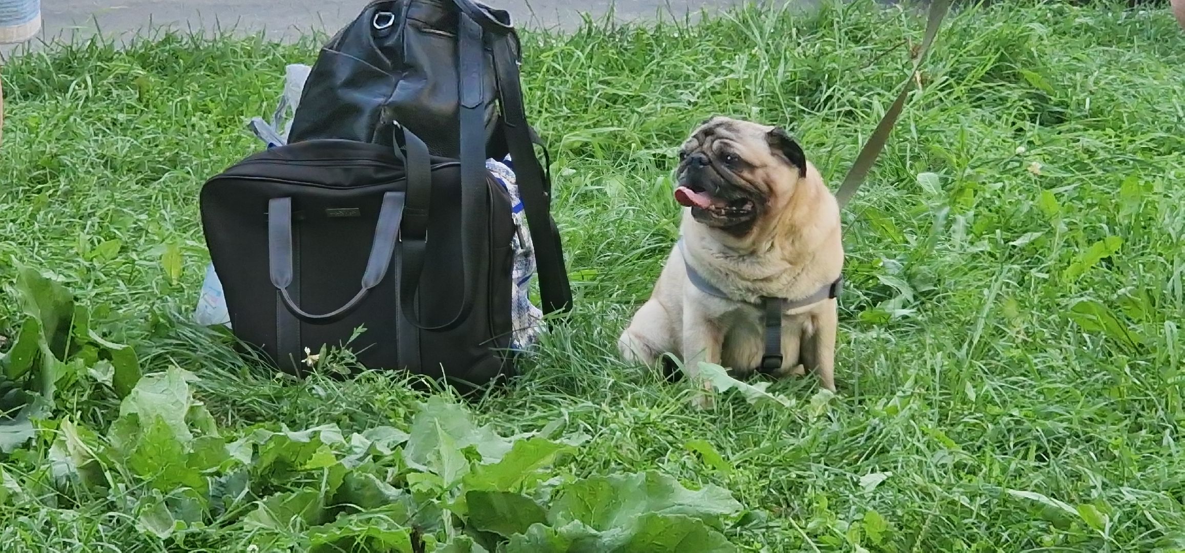 ЧП, пожар на флерова в Балашихе, Балашиха,