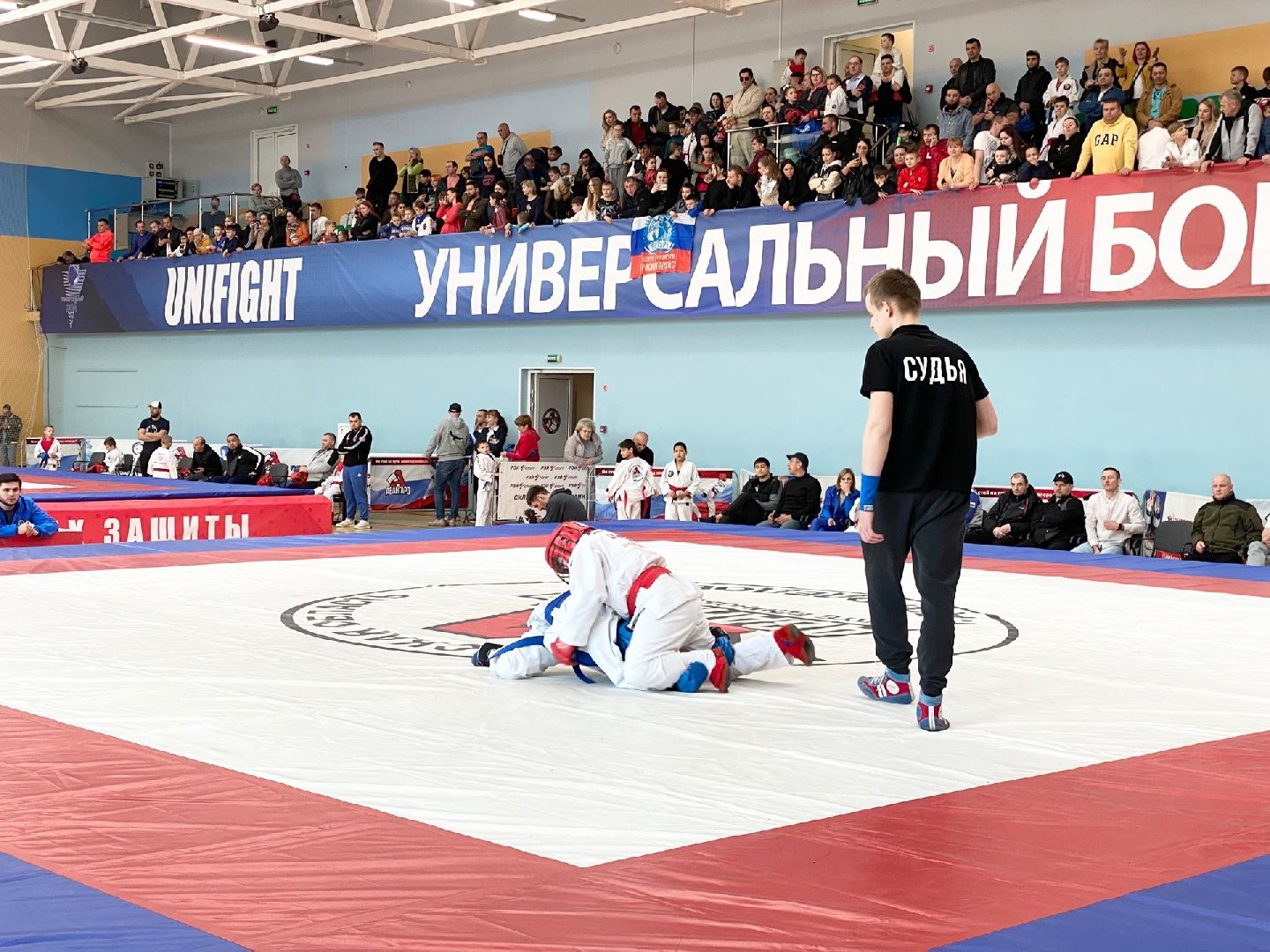 Домодедово, спорт, боец, чемпион, стадион Авангард