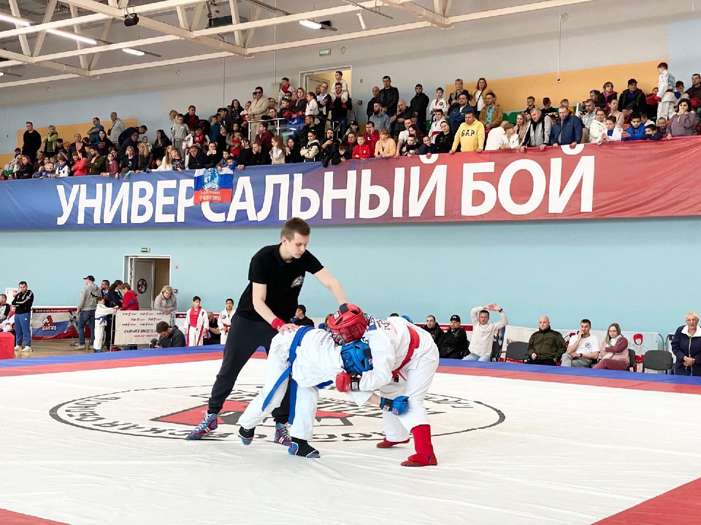 Домодедово, спорт, боец, чемпион, стадион Авангард