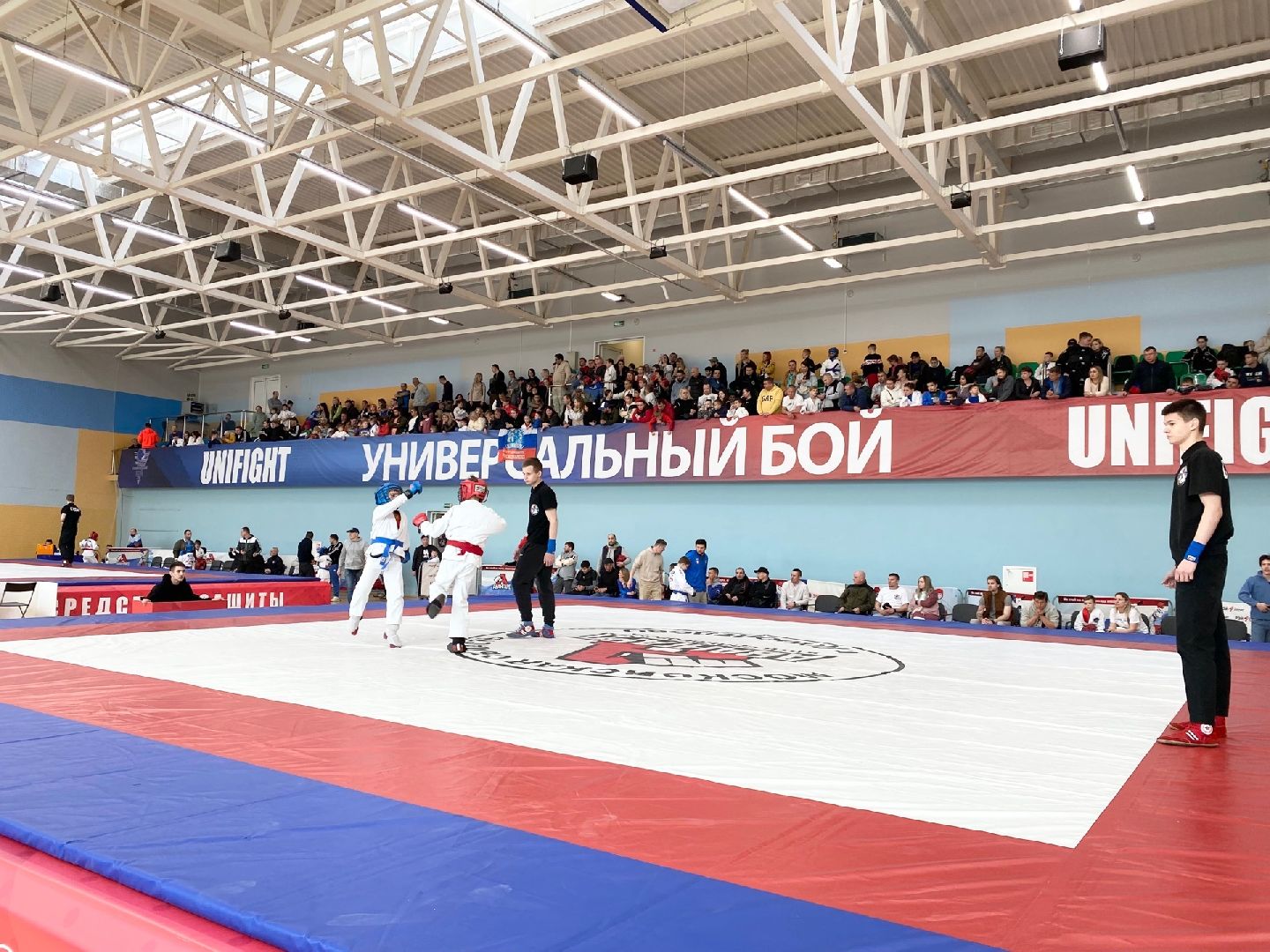 Домодедово, спорт, боец, чемпион, стадион Авангард