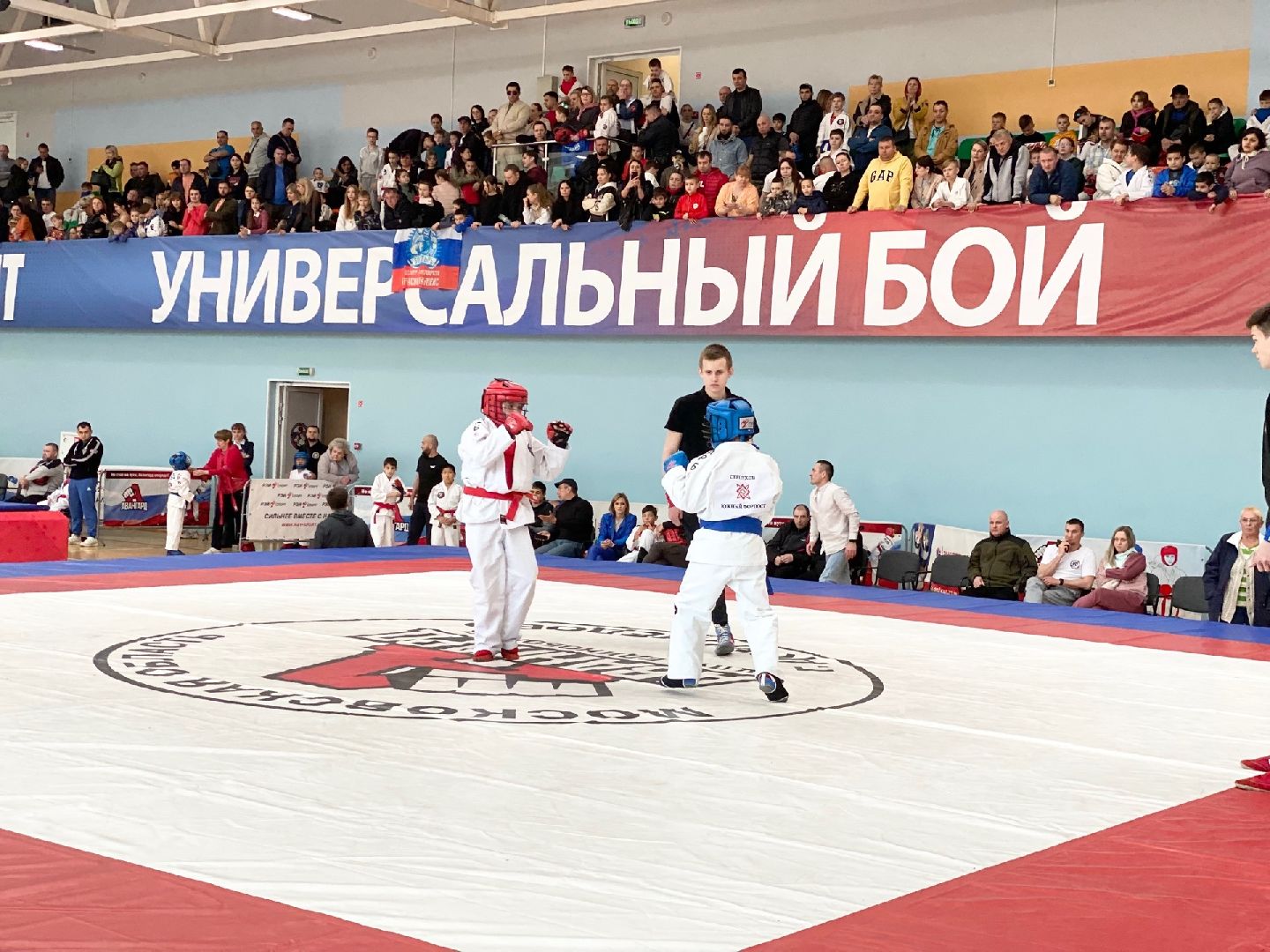 Домодедово, спорт, боец, чемпион, стадион Авангард